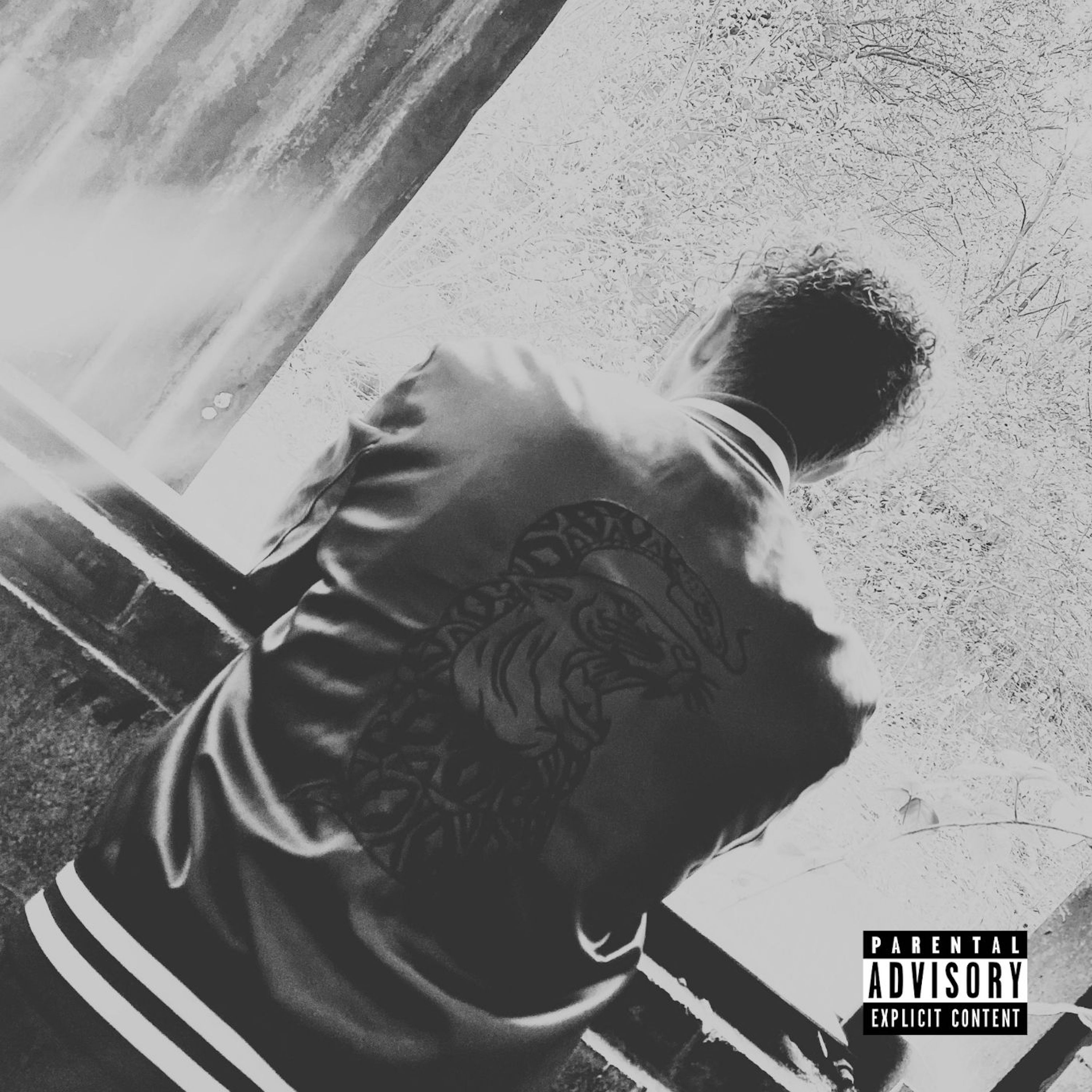 A COLD WORLD artwork