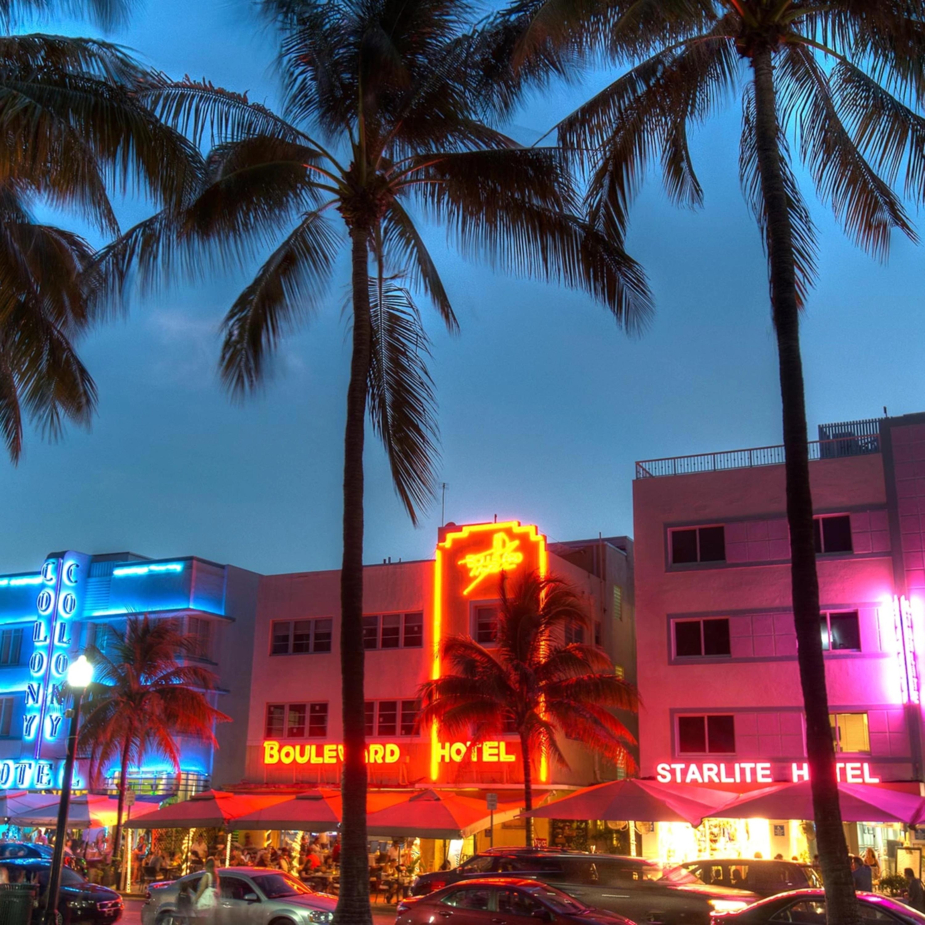 MIAMI artwork