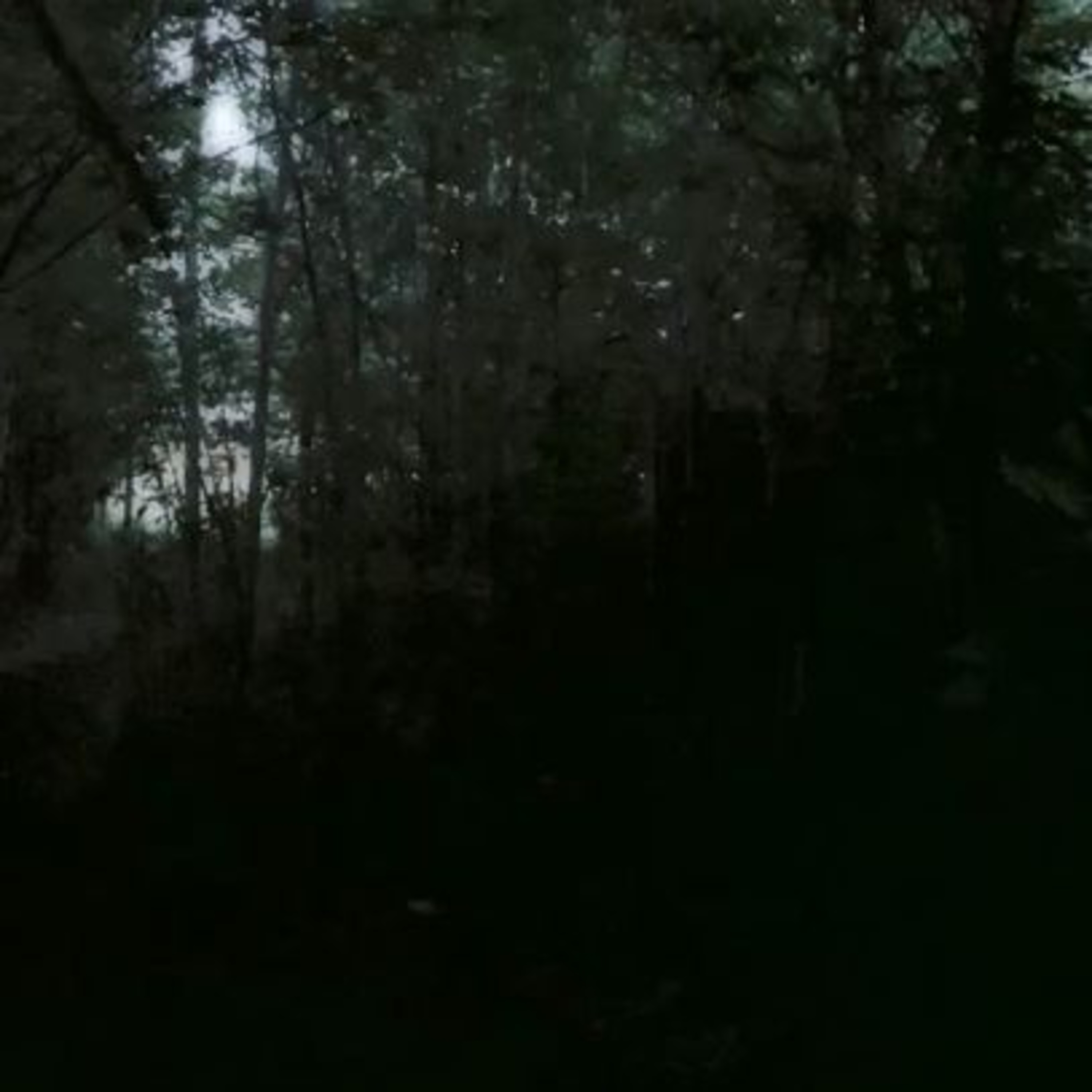 I Don't Wanna Say Goodbye by W00T cover art
