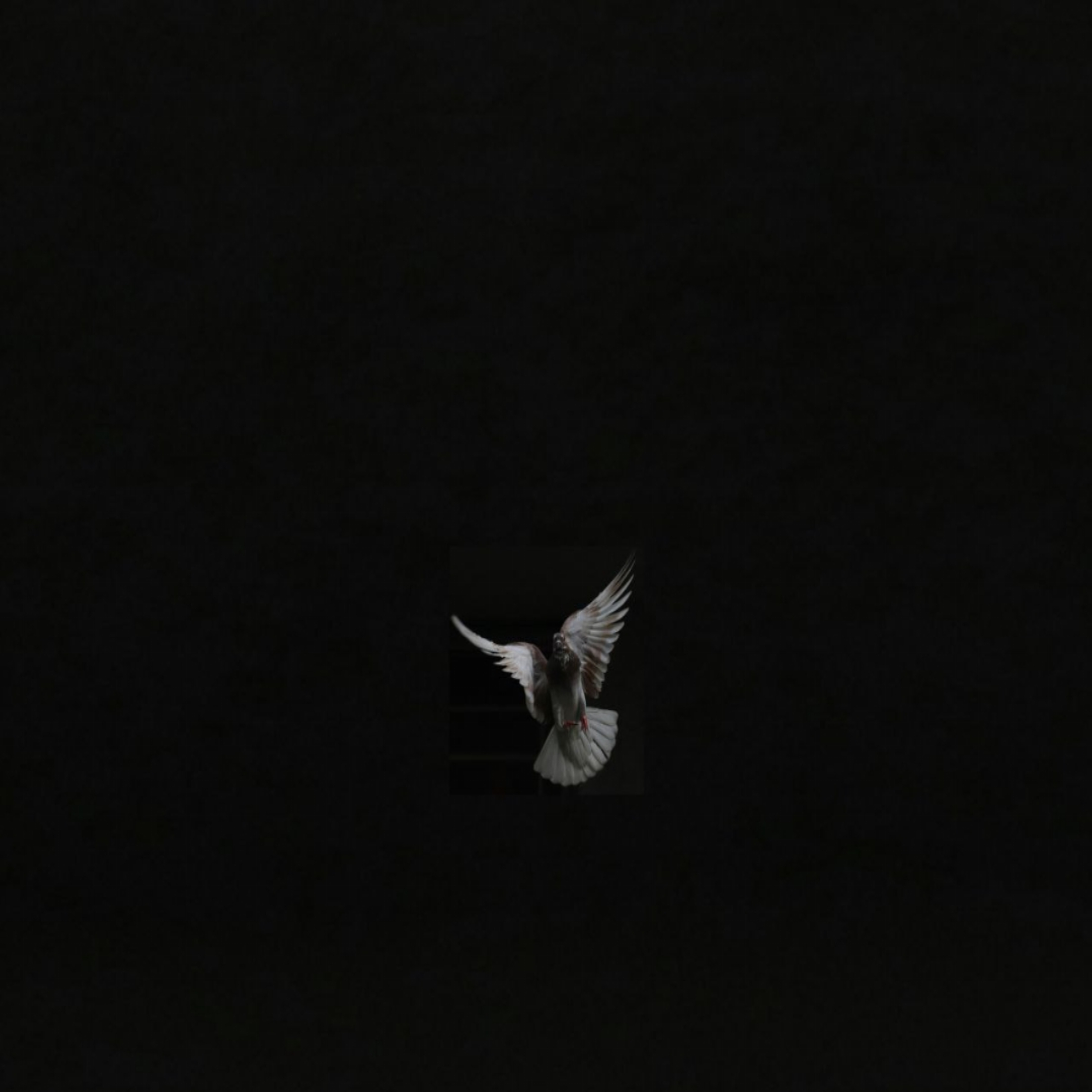 Only You by Young Gideon cover art