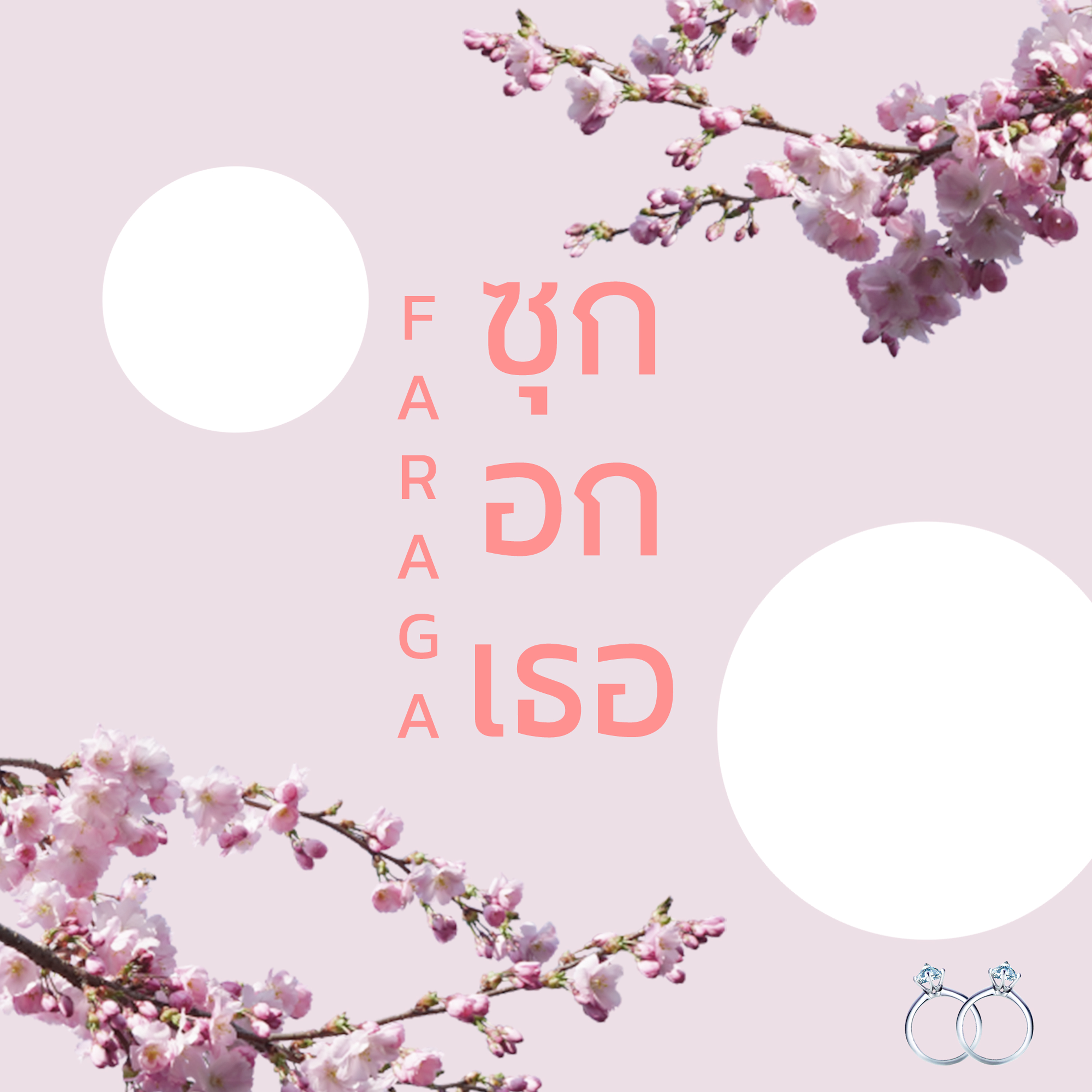 ซุกอกเธอ artwork