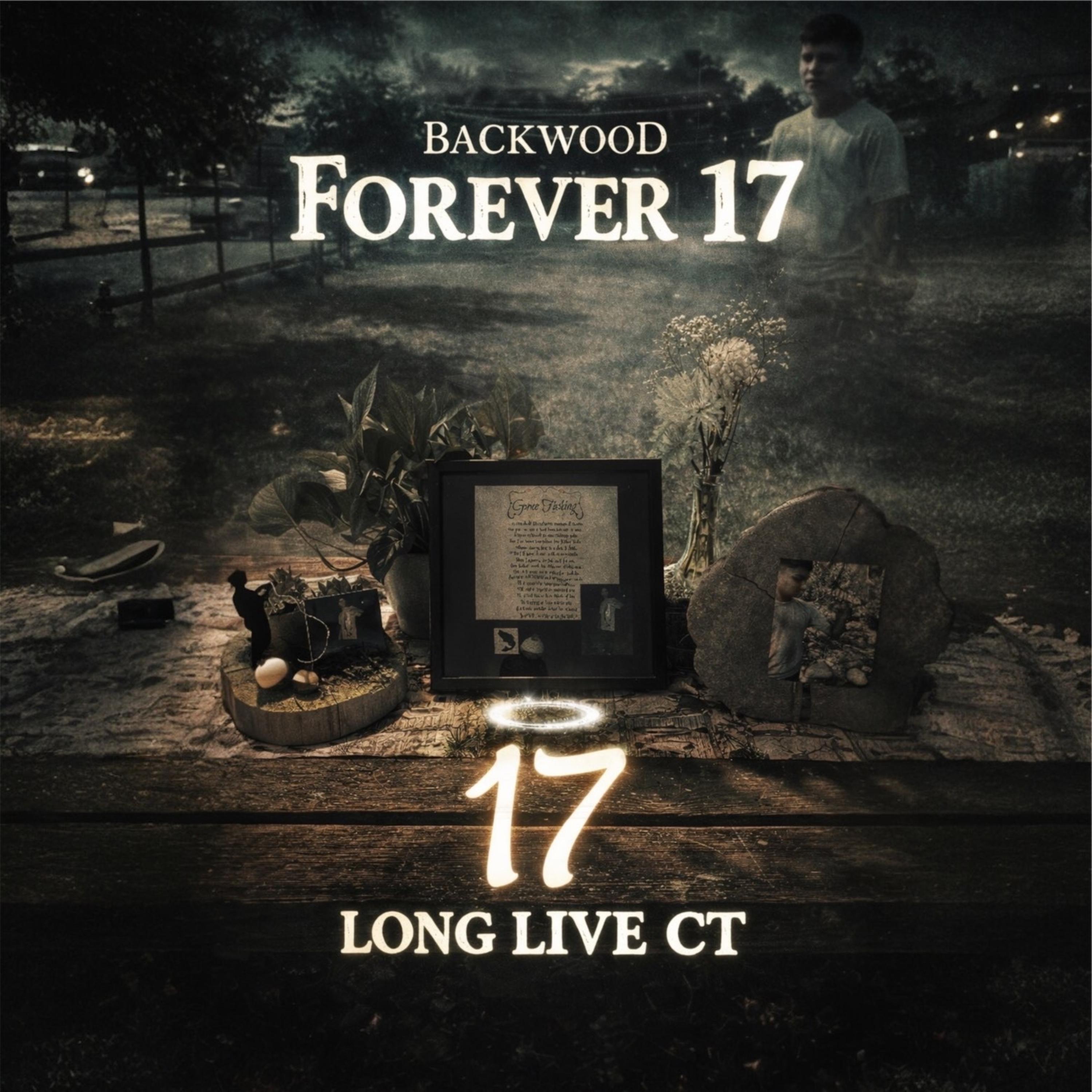 17 artwork