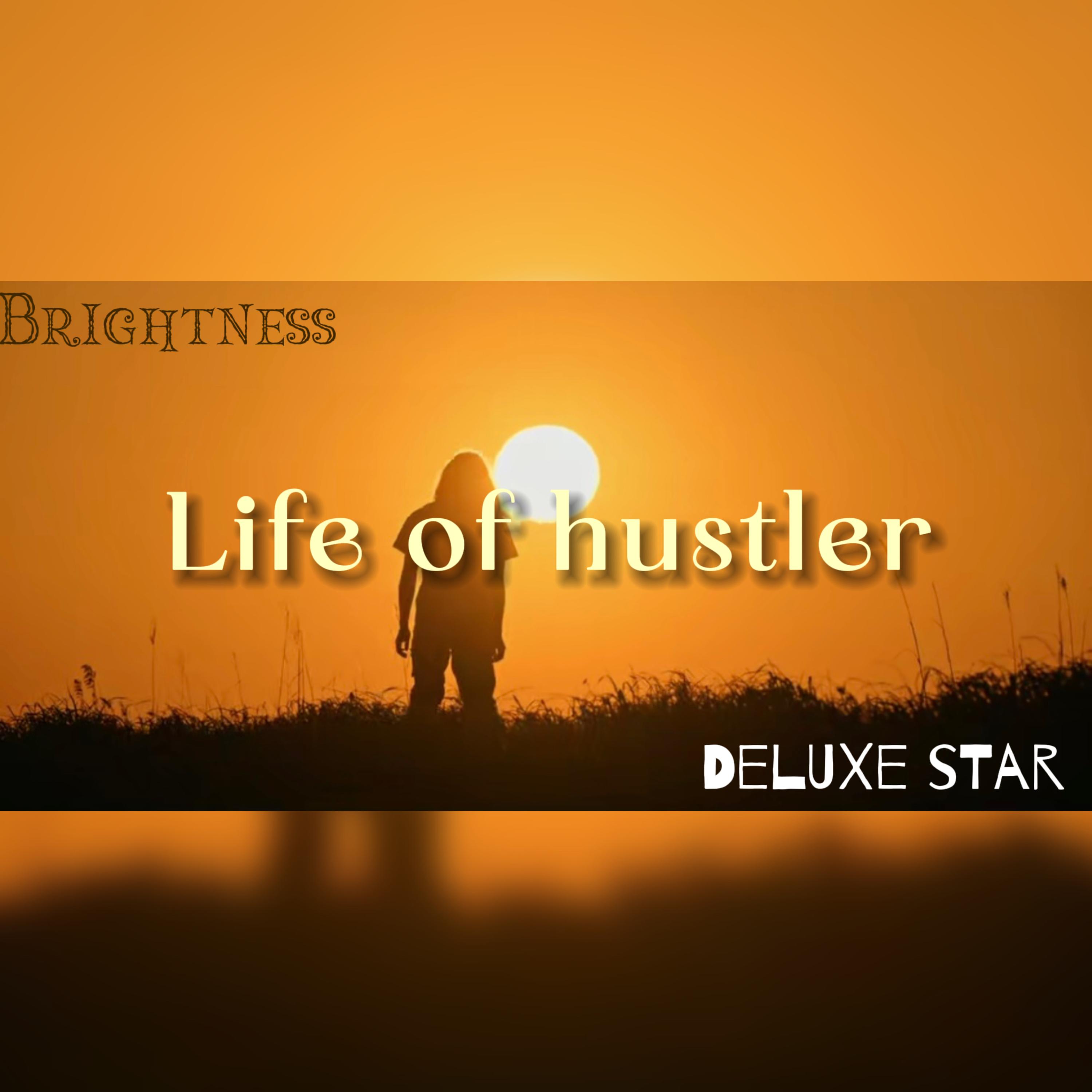 Life Of Hustler artwork