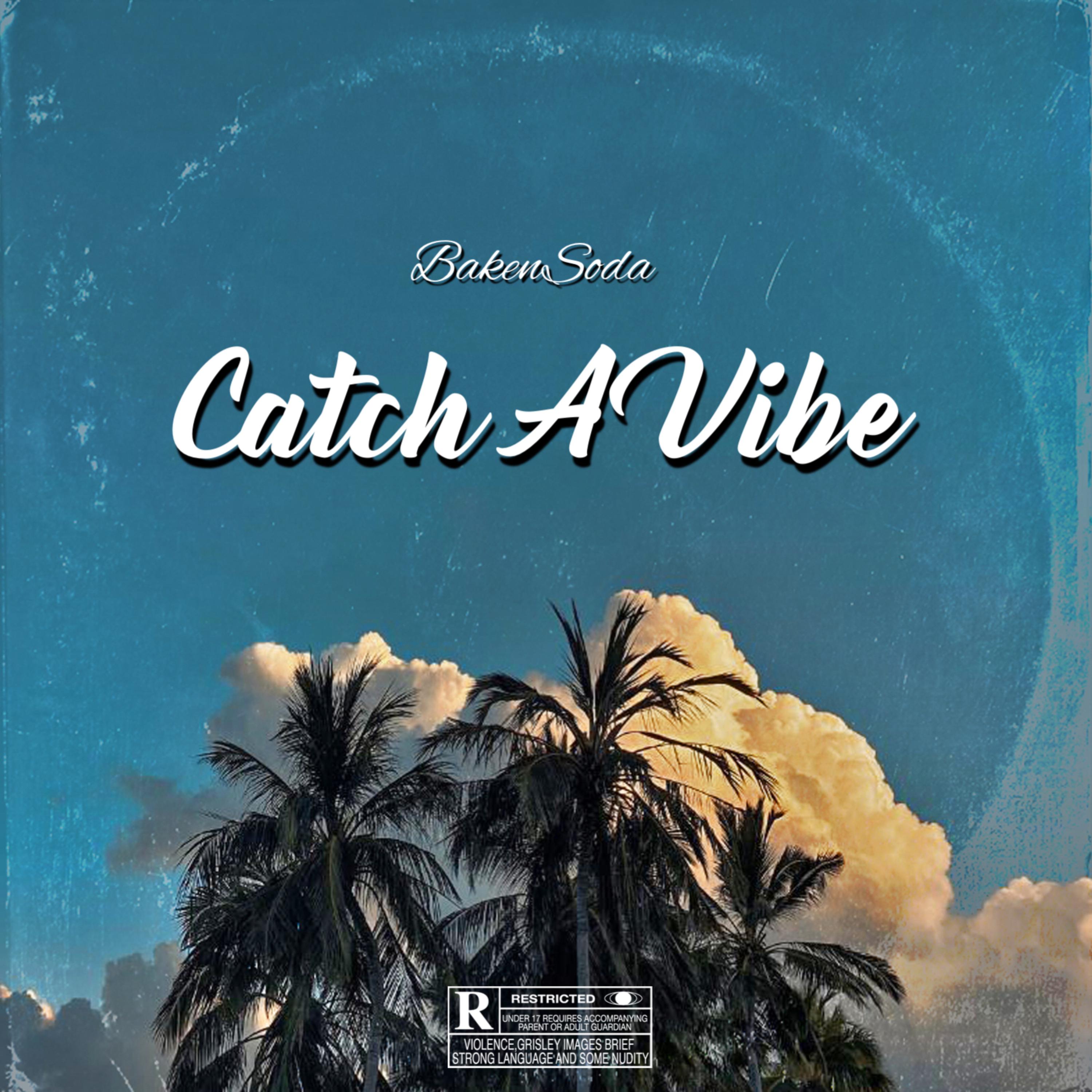 Catch A Vibe artwork