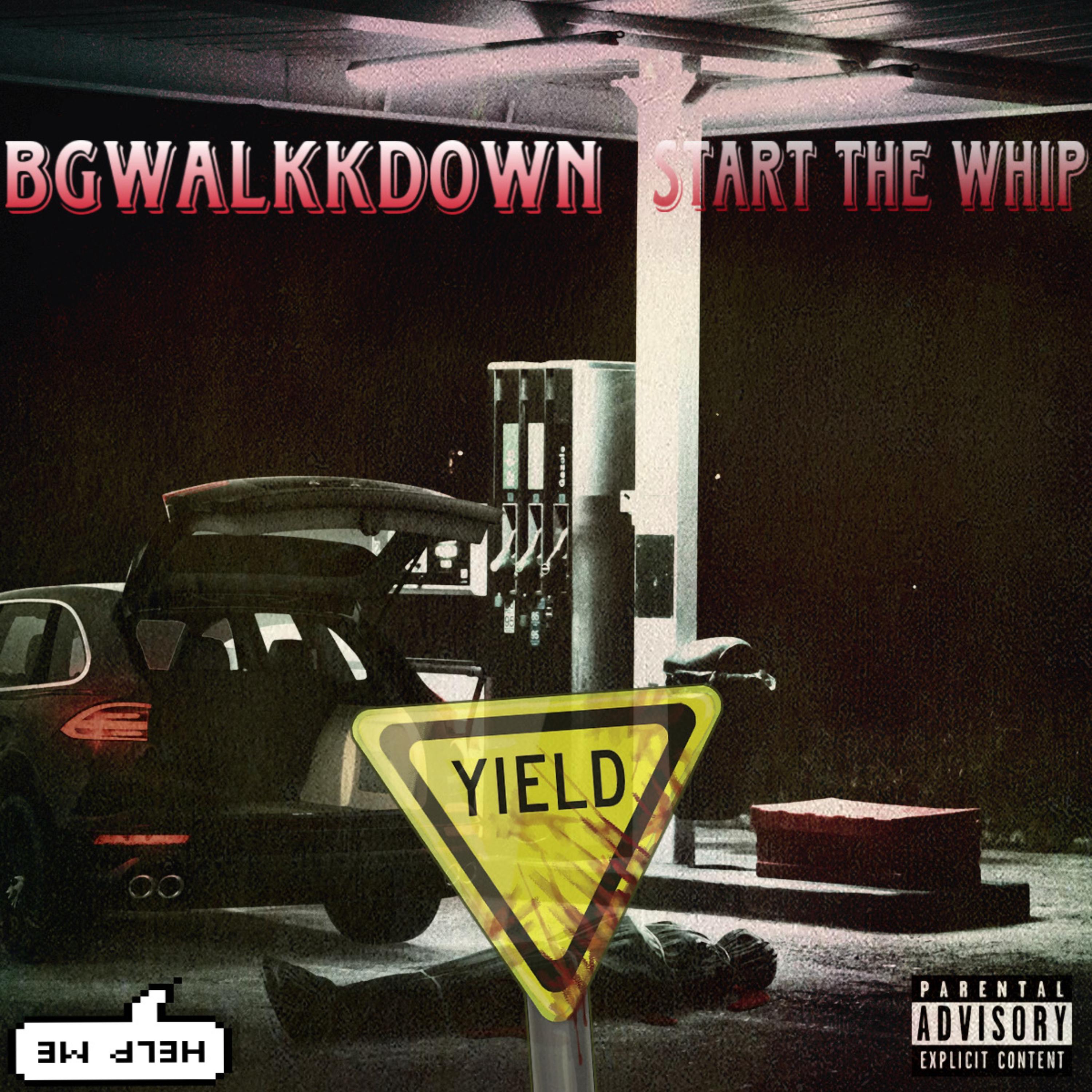 Start The Whip artwork