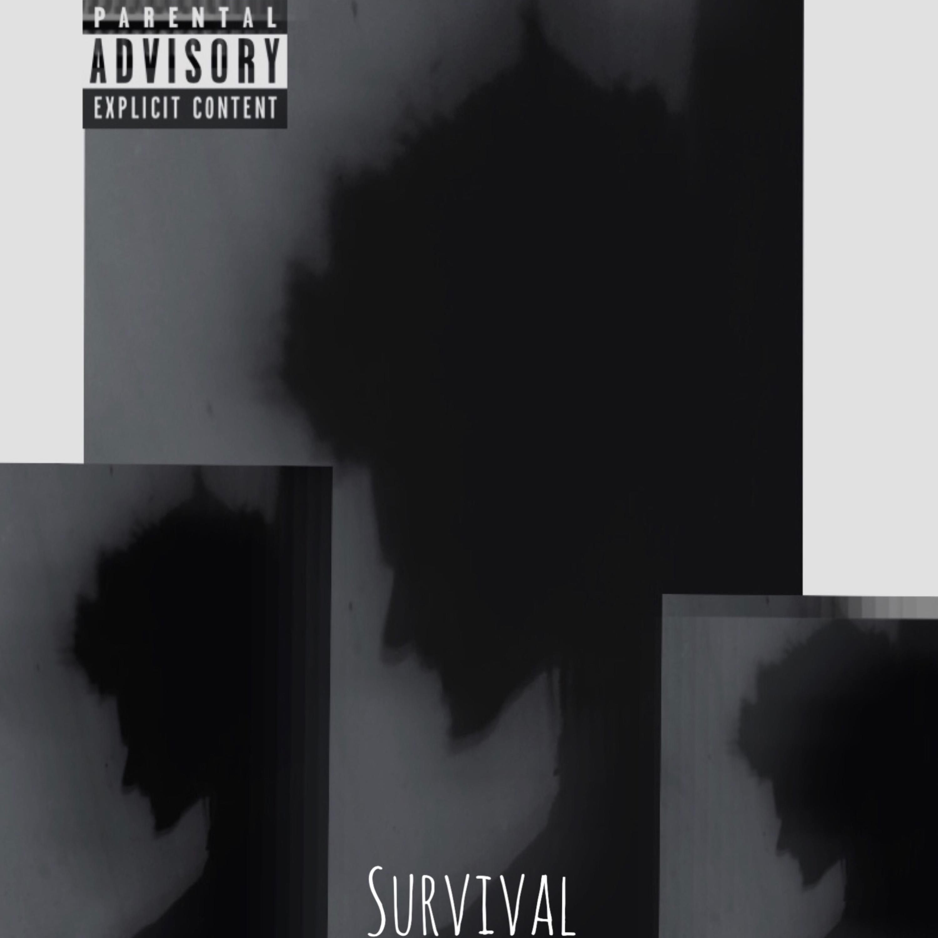 Survival artwork
