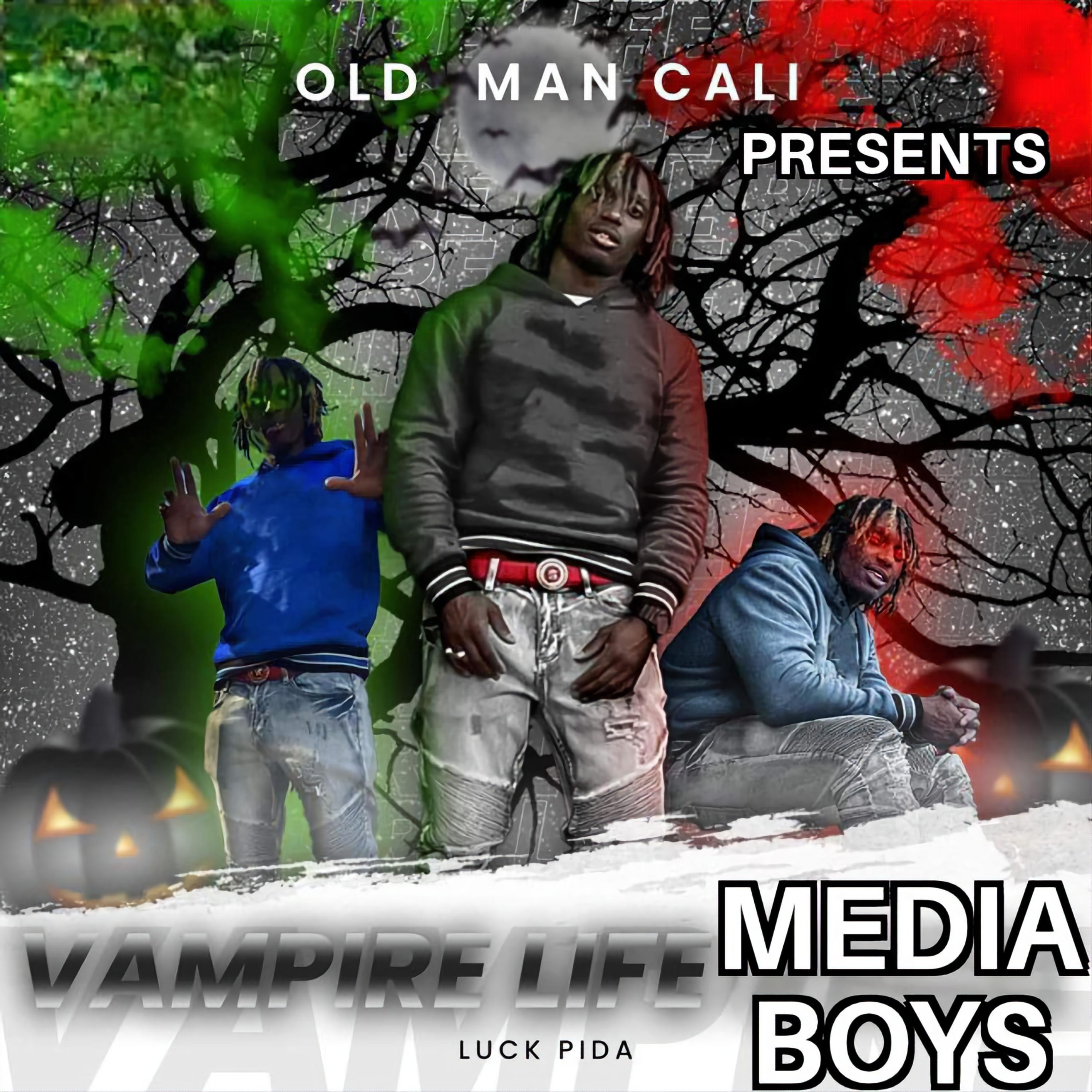 Vampire Life Media Boys  artwork