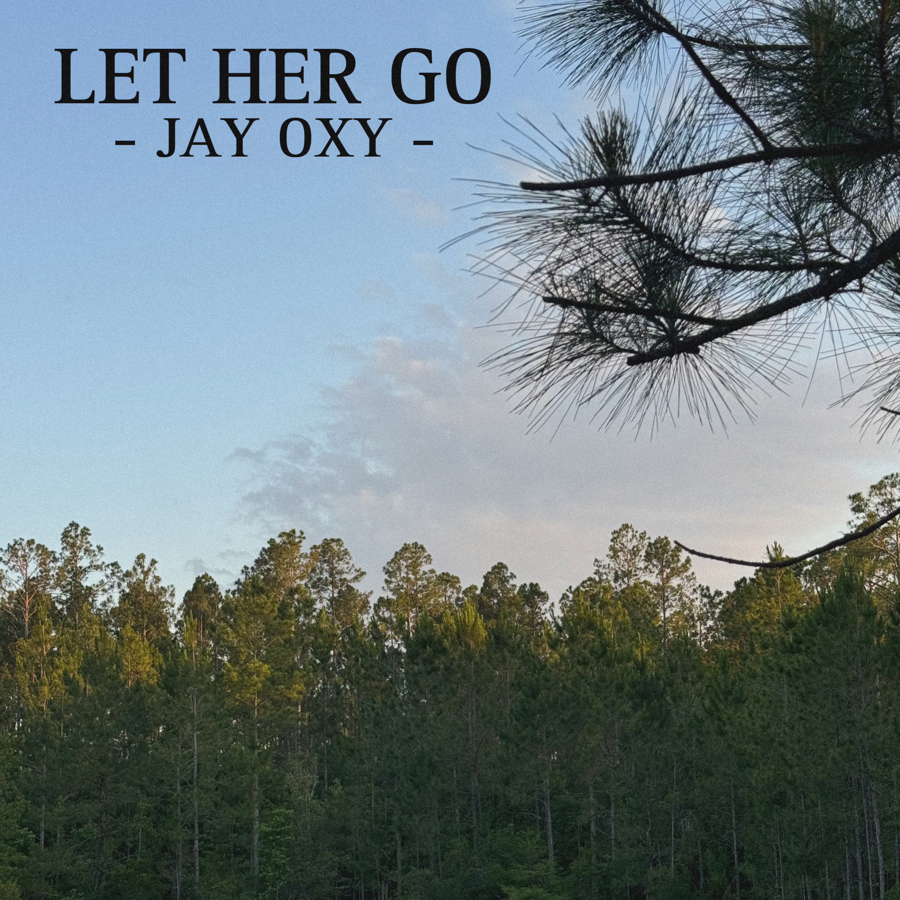 Let Her Go artwork