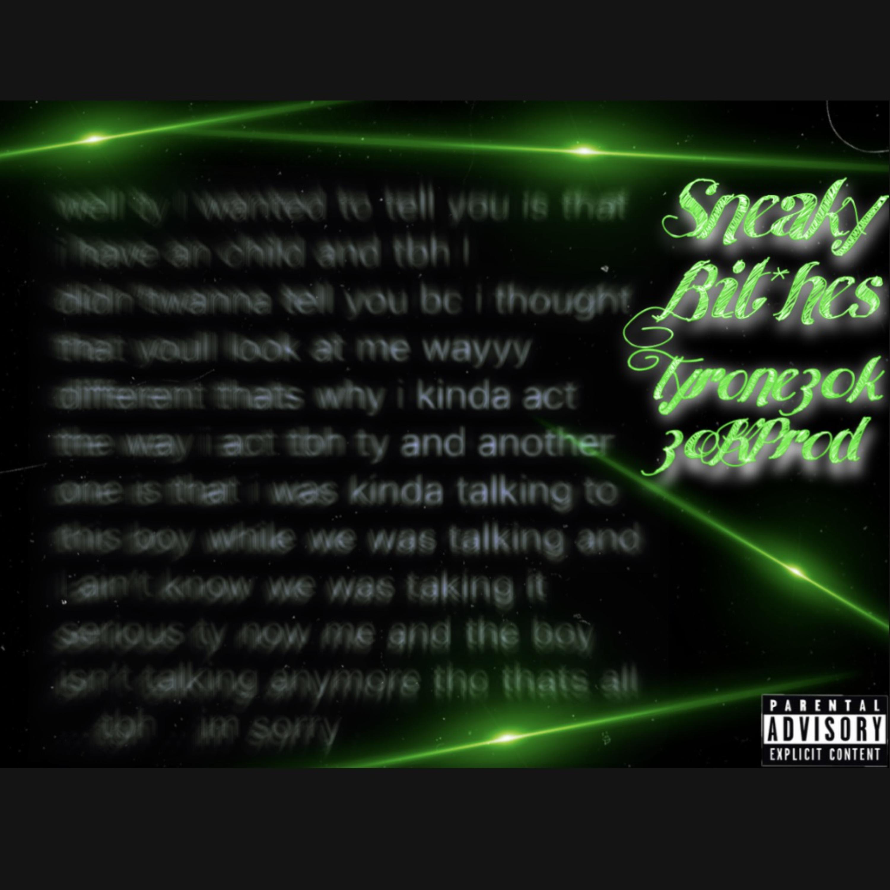 Sneaky Bitches artwork