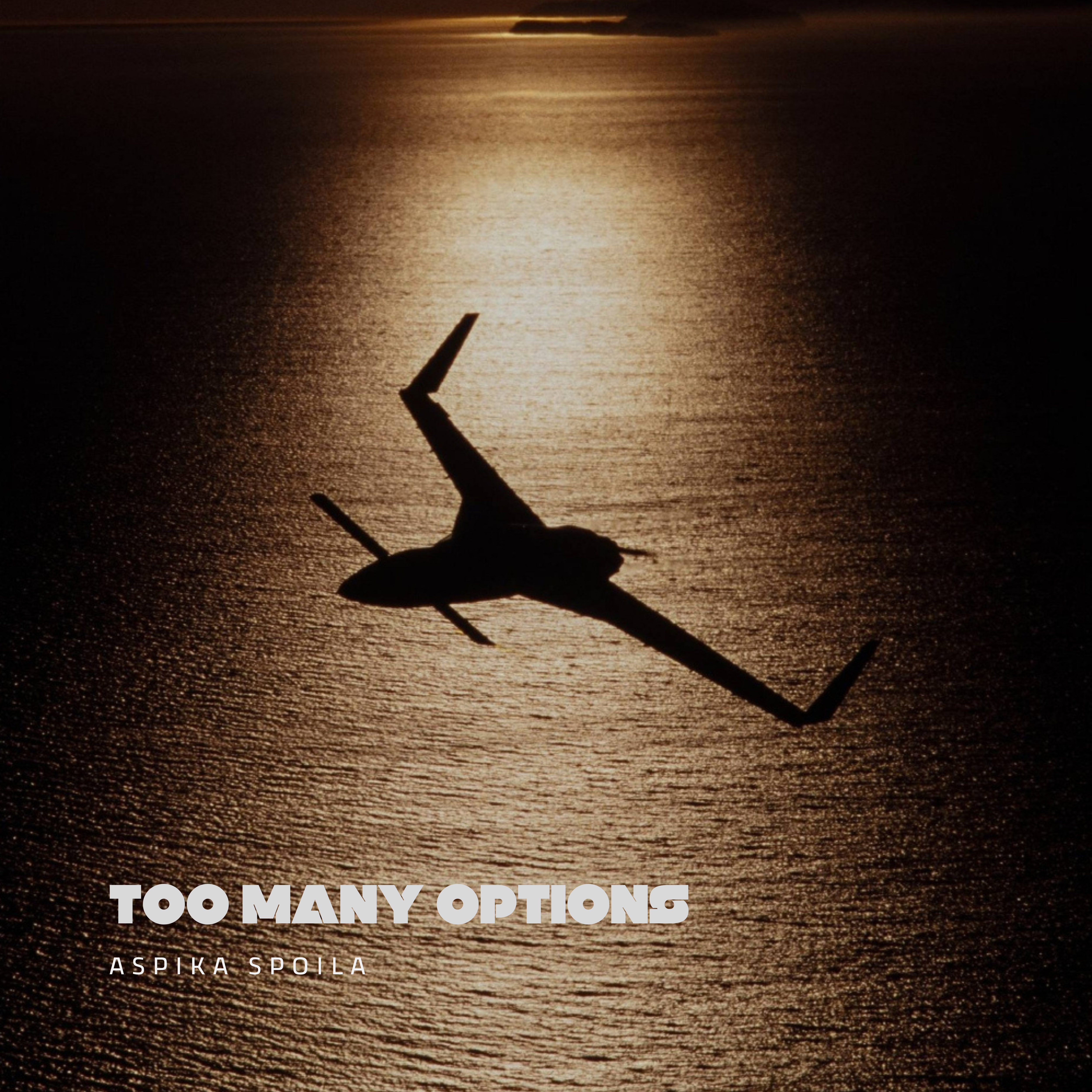 Too Many Options artwork