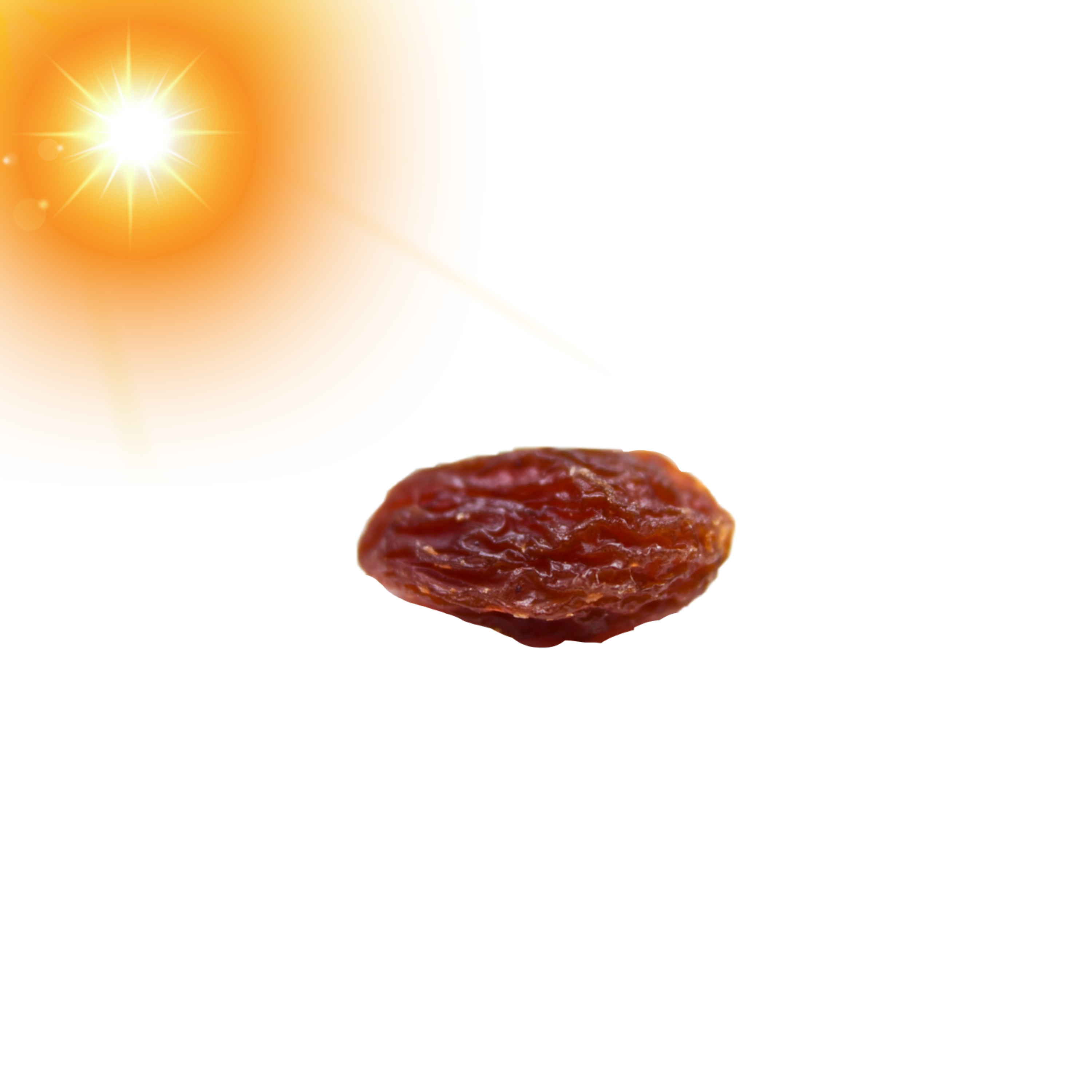 RAISIN IN THE SON artwork