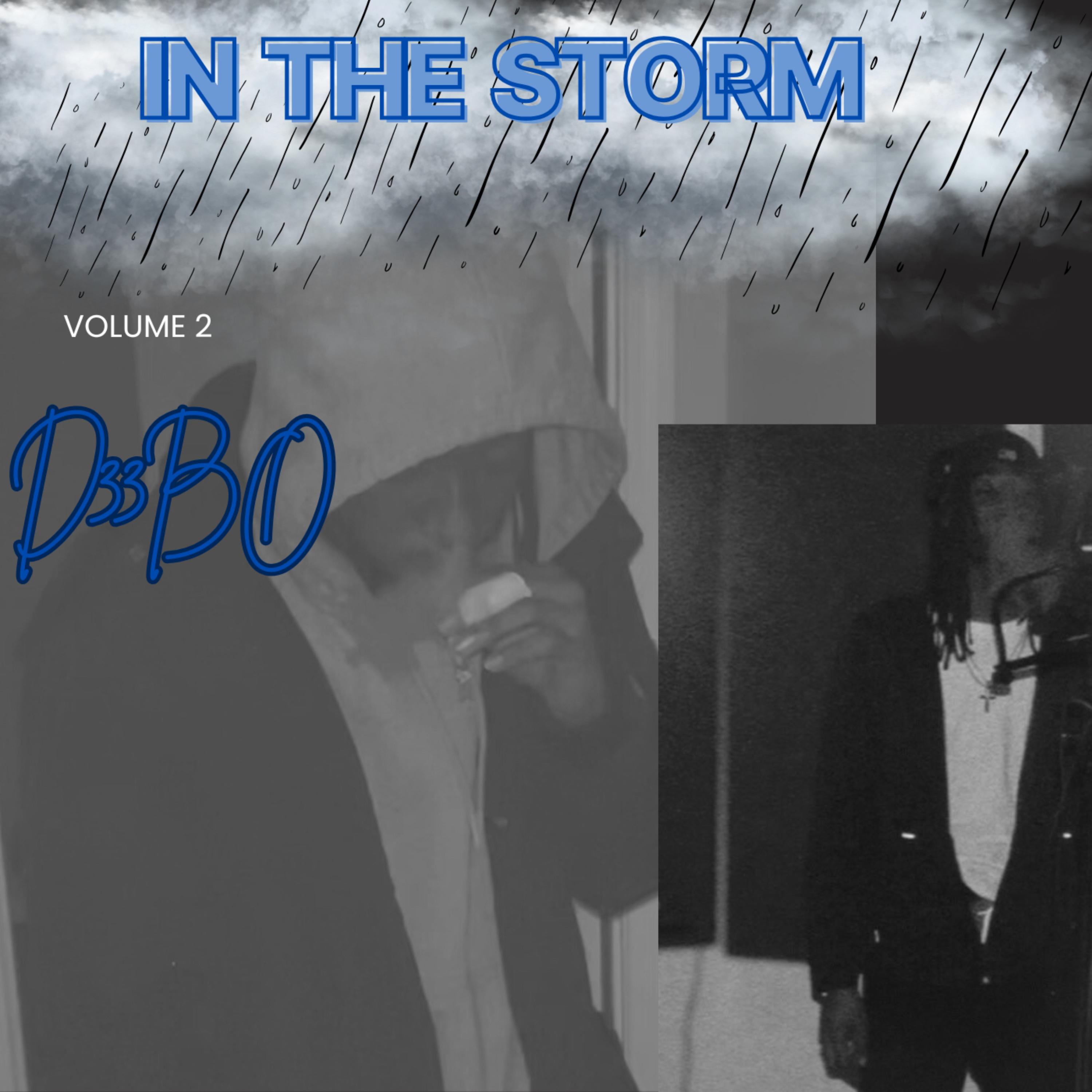 IN THE STORM artwork