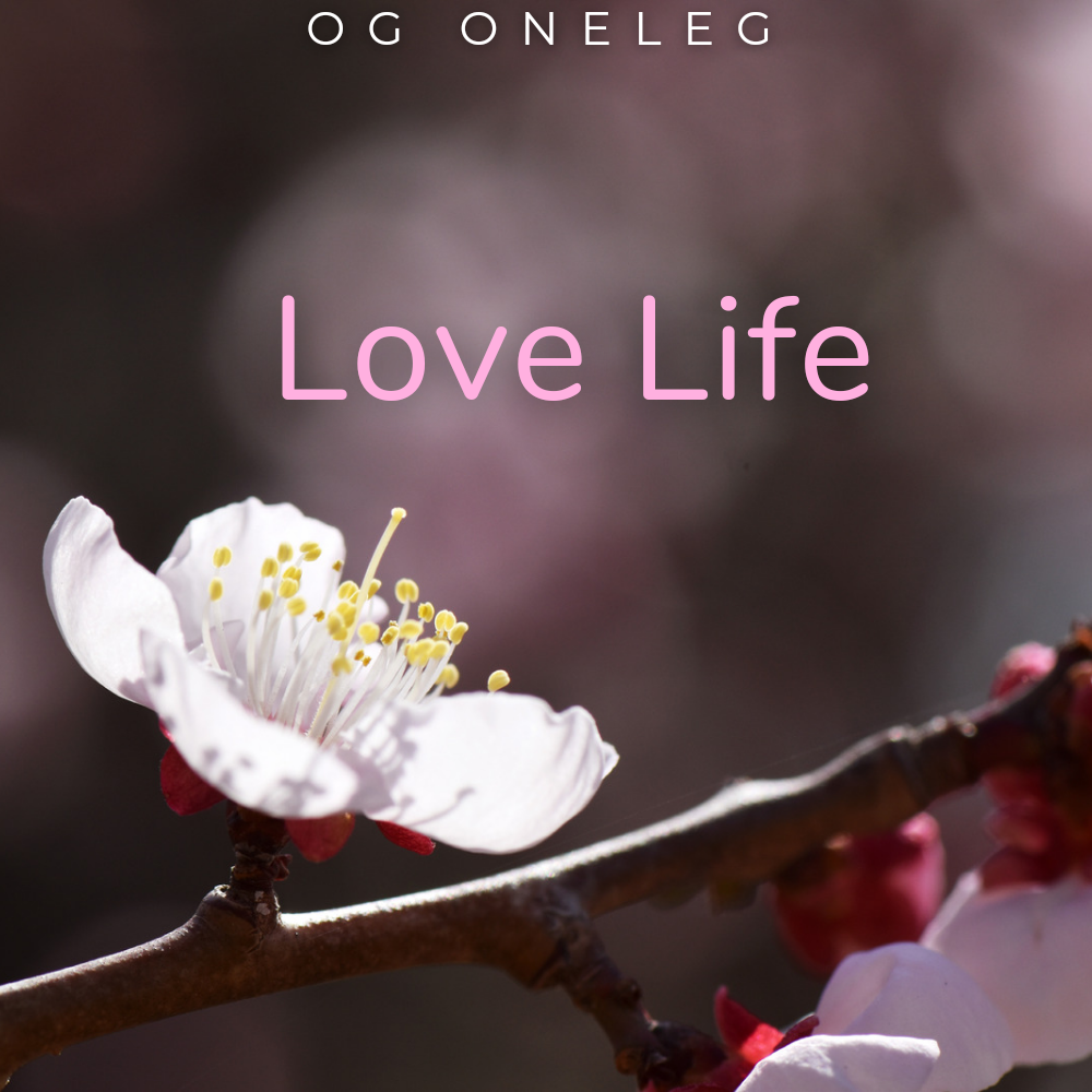 Love Life artwork