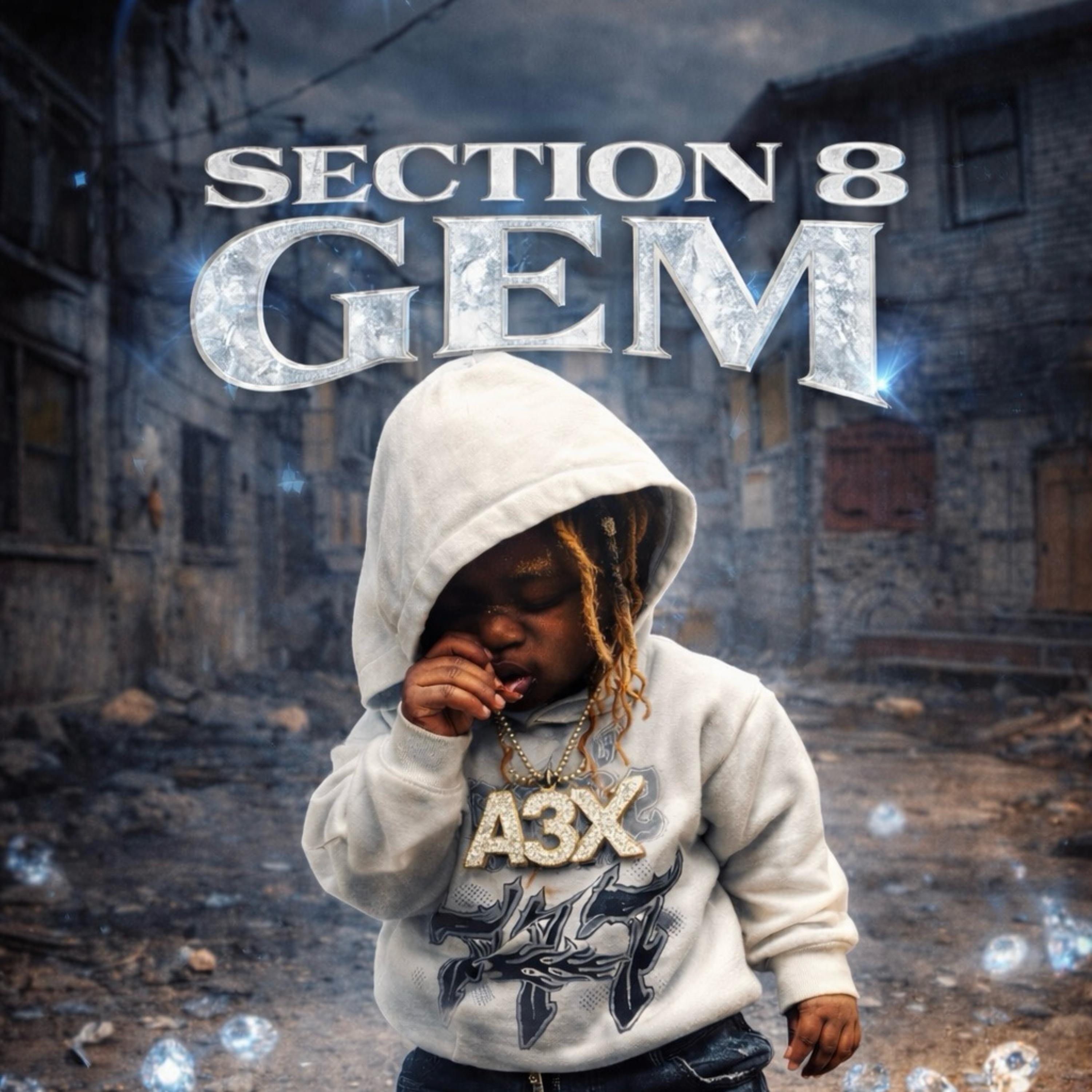 SECTION 8 GEM artwork