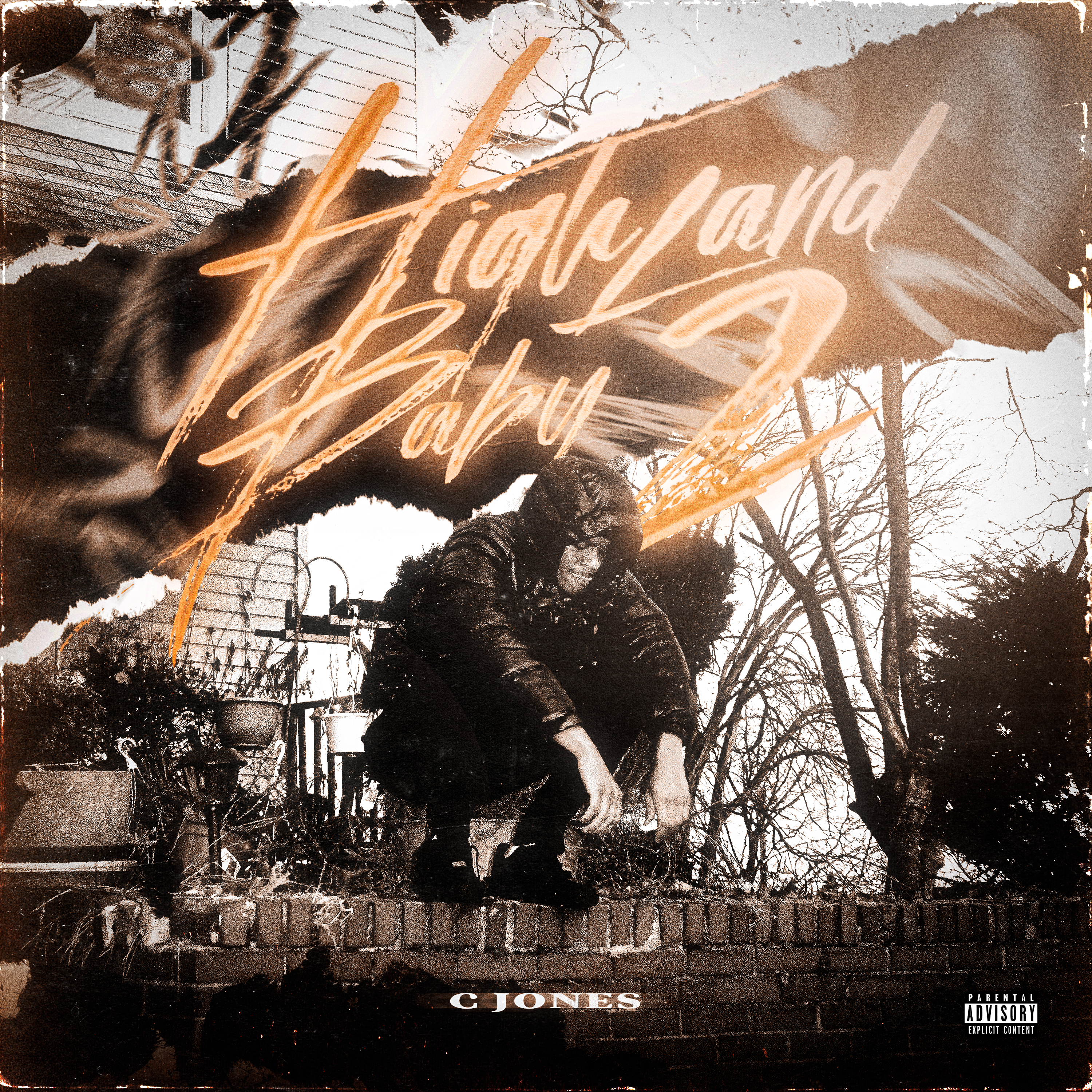 Highland Baby 2 artwork