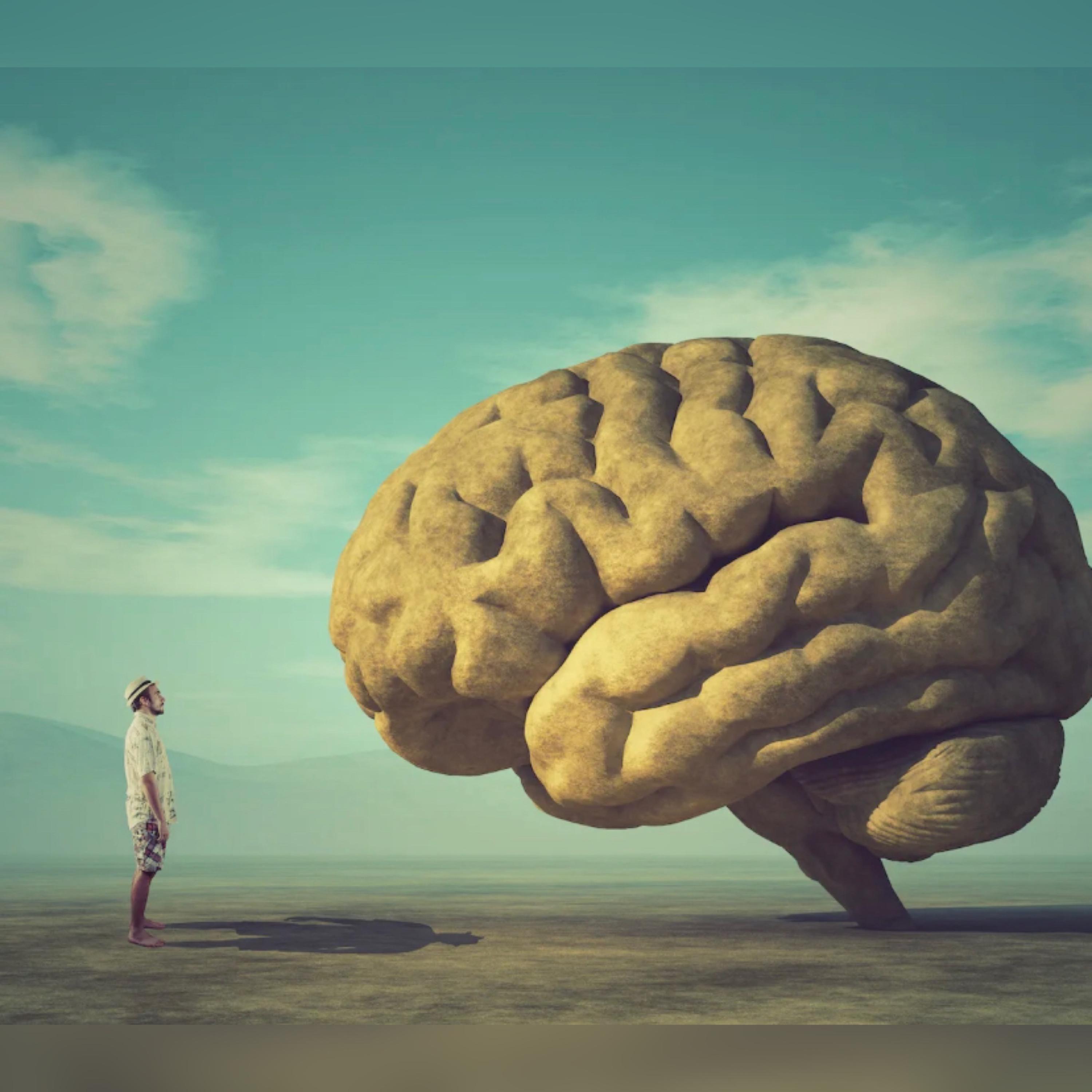 Brain by Damighty William ExEceLL cover art