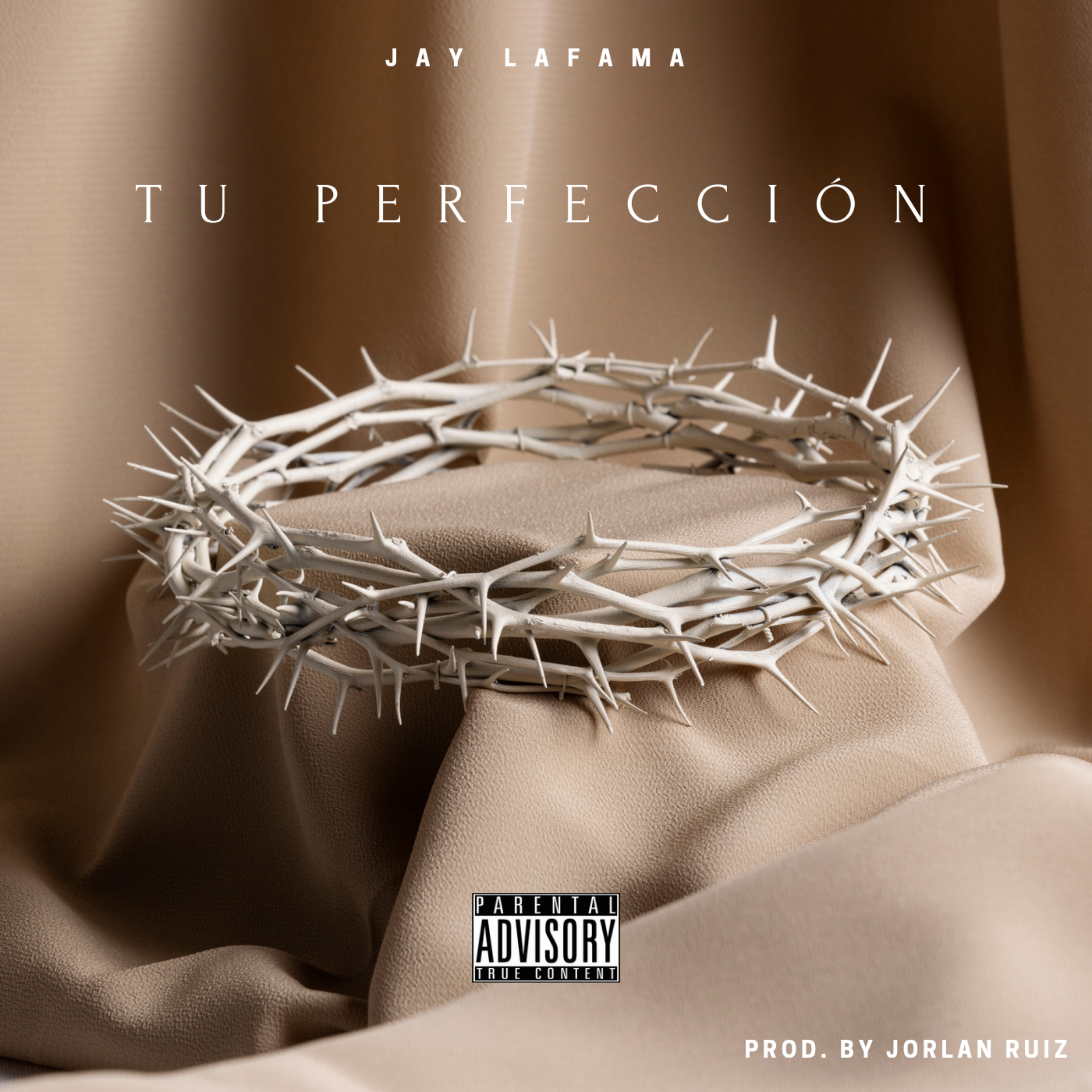Tu Perfeccion artwork