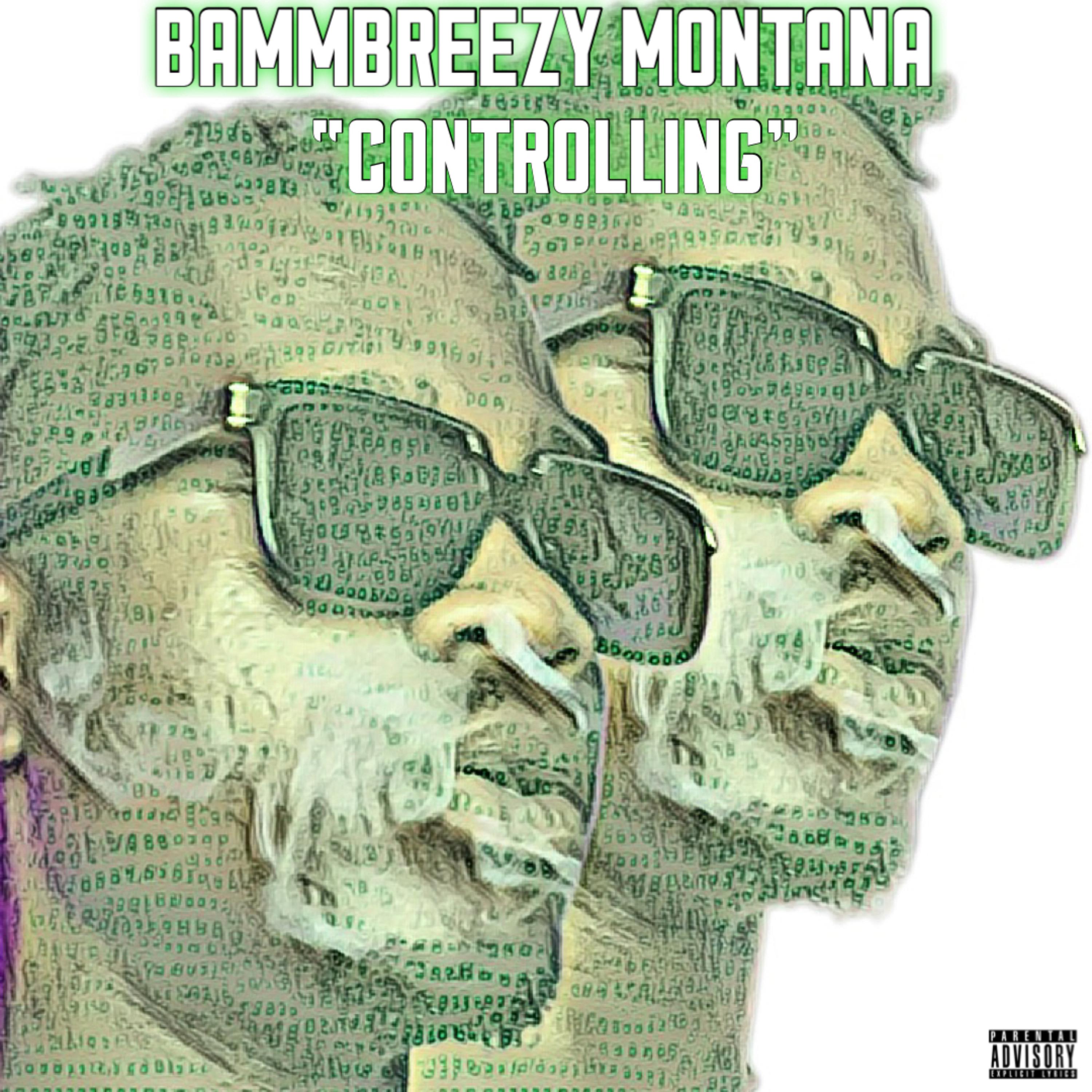 Controlling artwork
