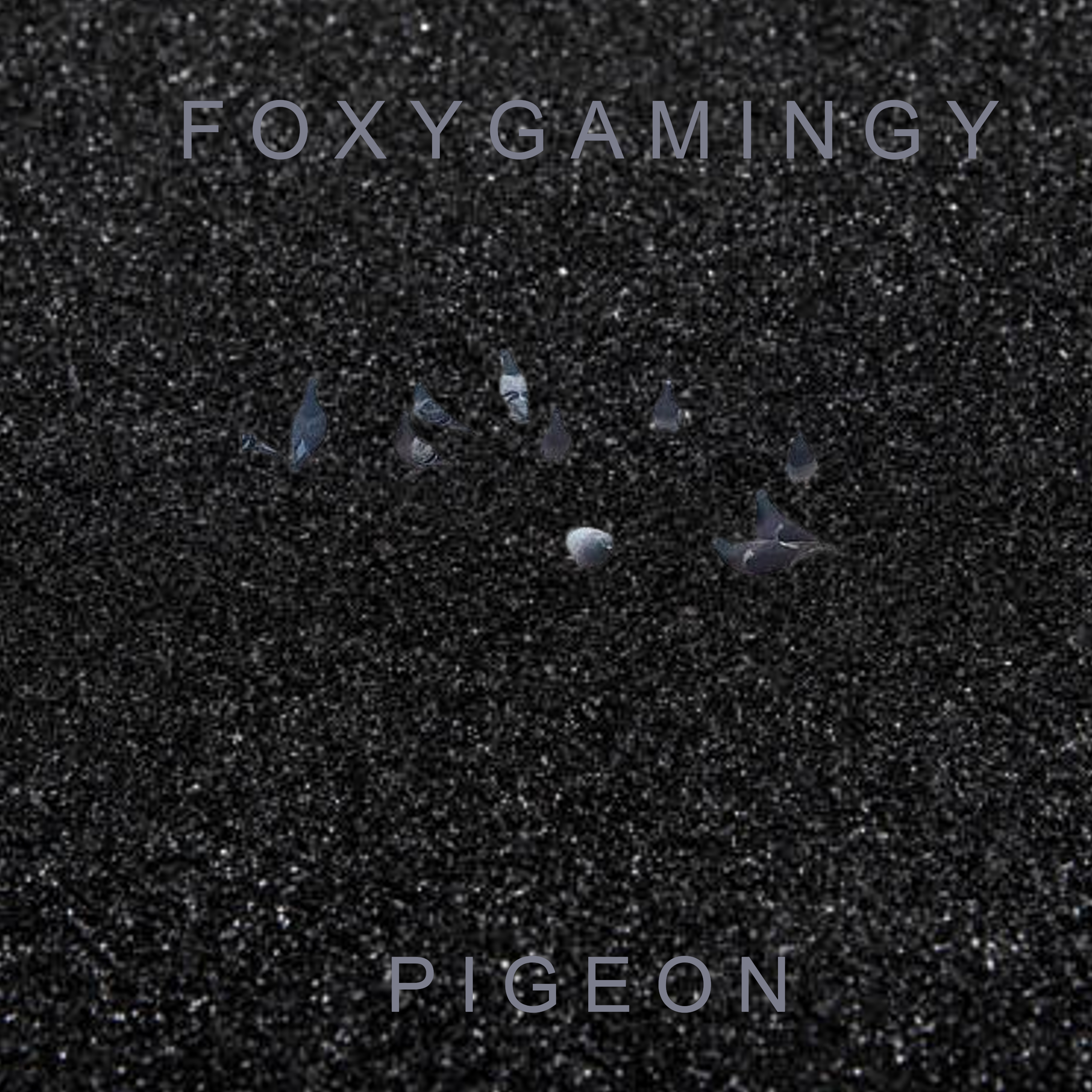 Pigeon artwork