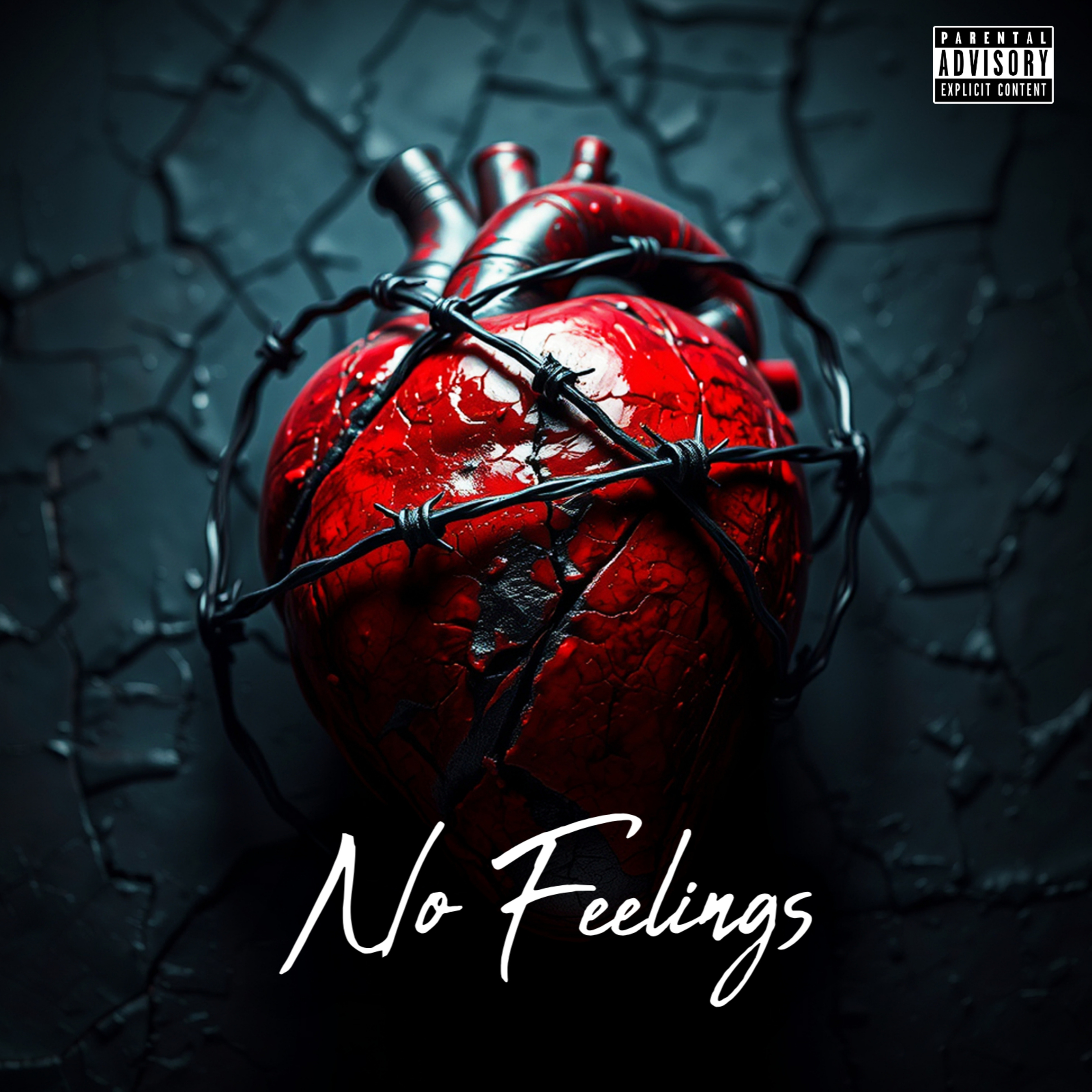 NO FEELINGS artwork
