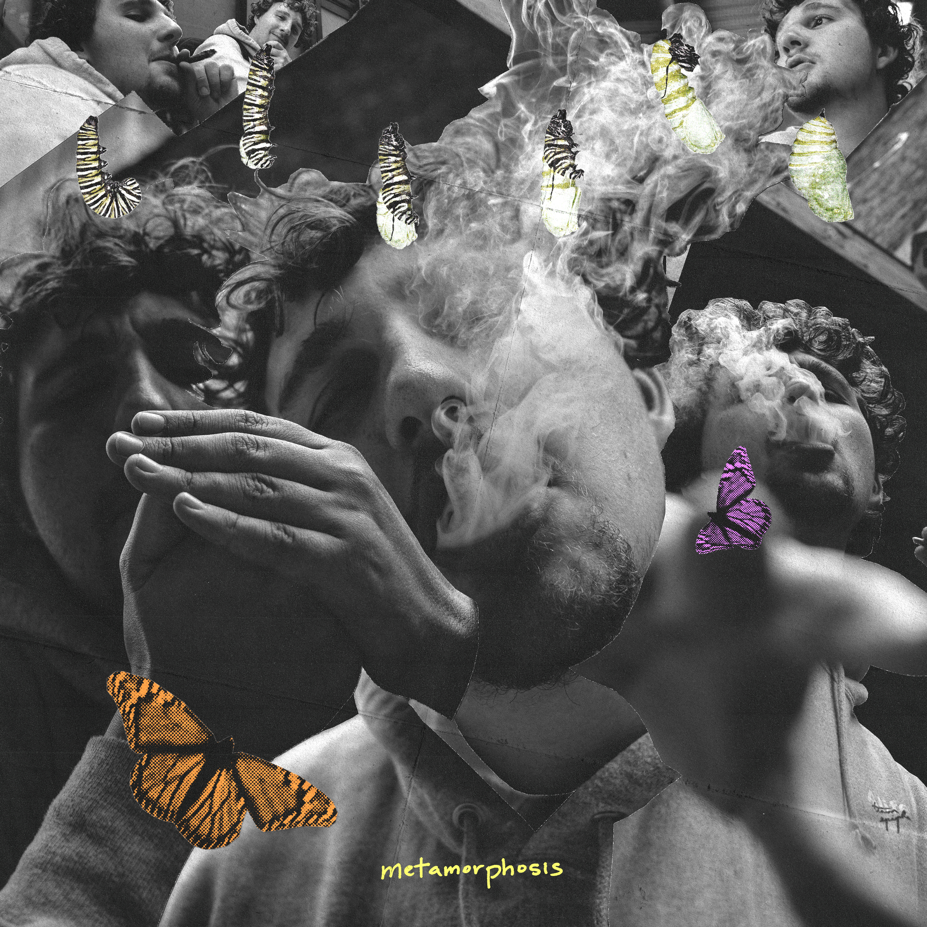 Metamorphosis artwork