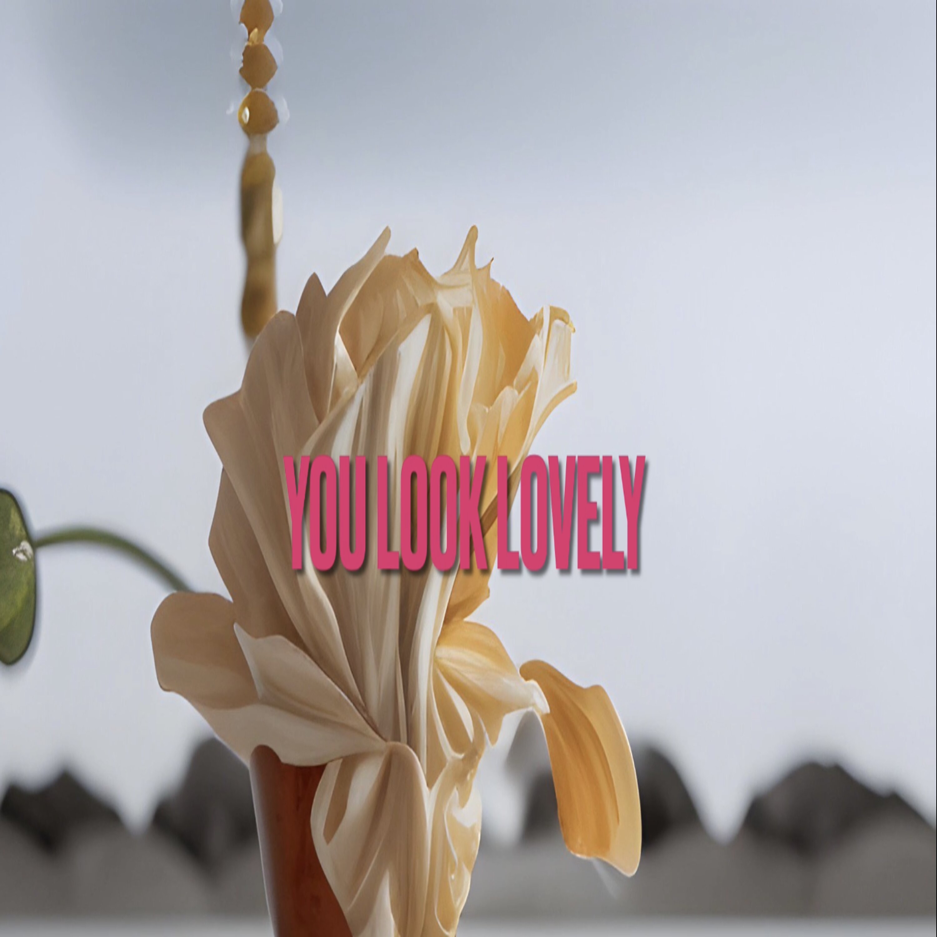 You Look Lovely artwork
