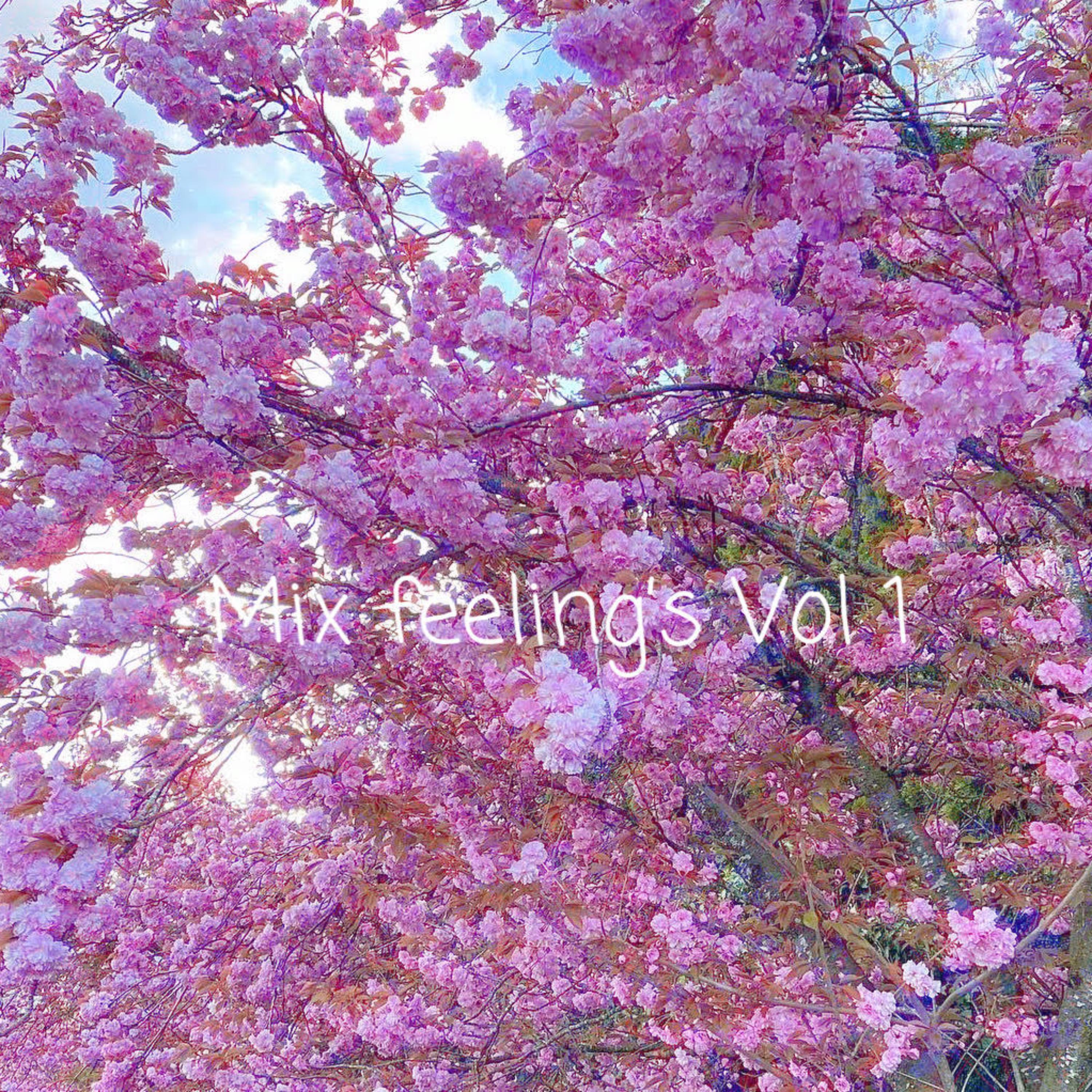 Mix feeling's Vol.1 artwork