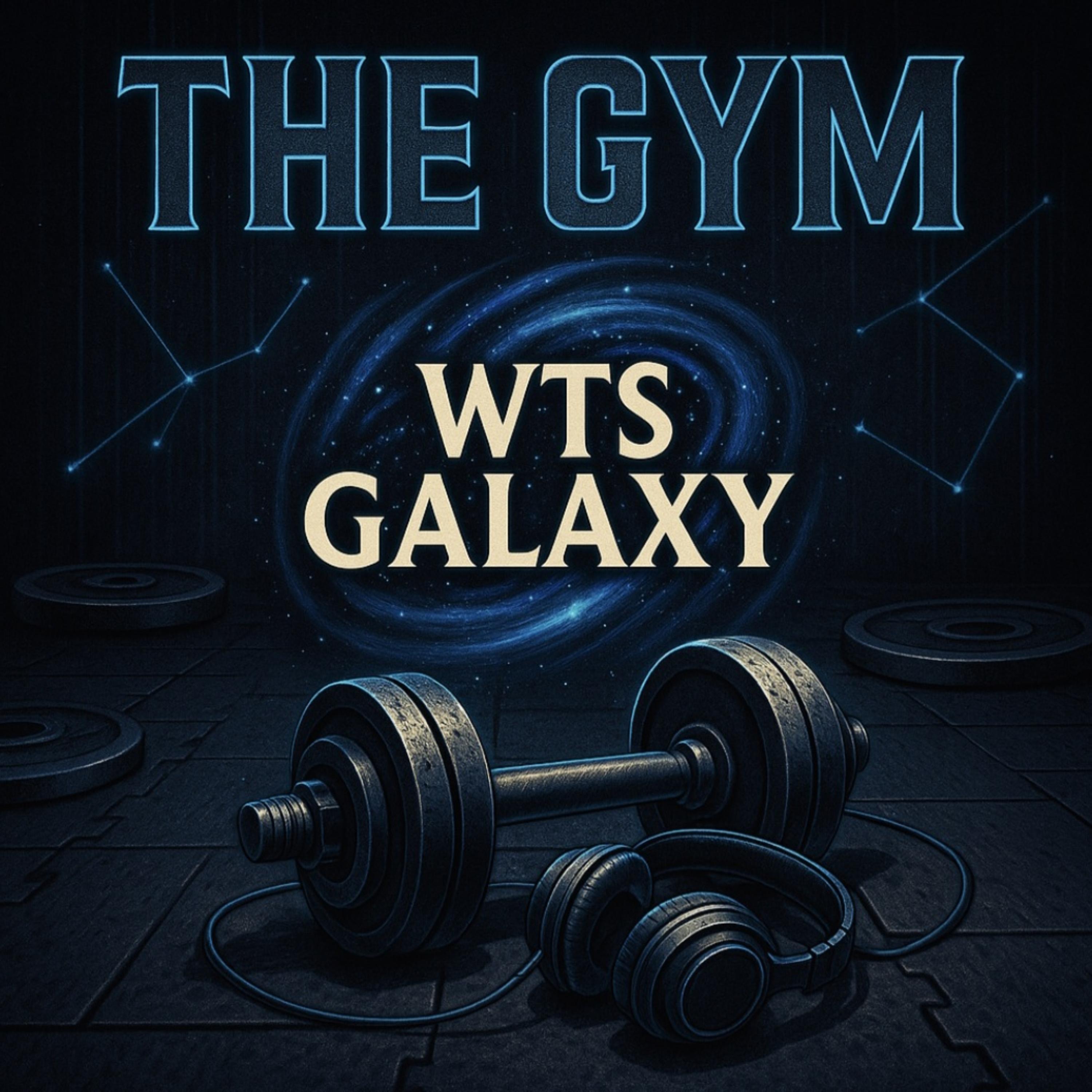 The Gym by WTS Galaxy cover art