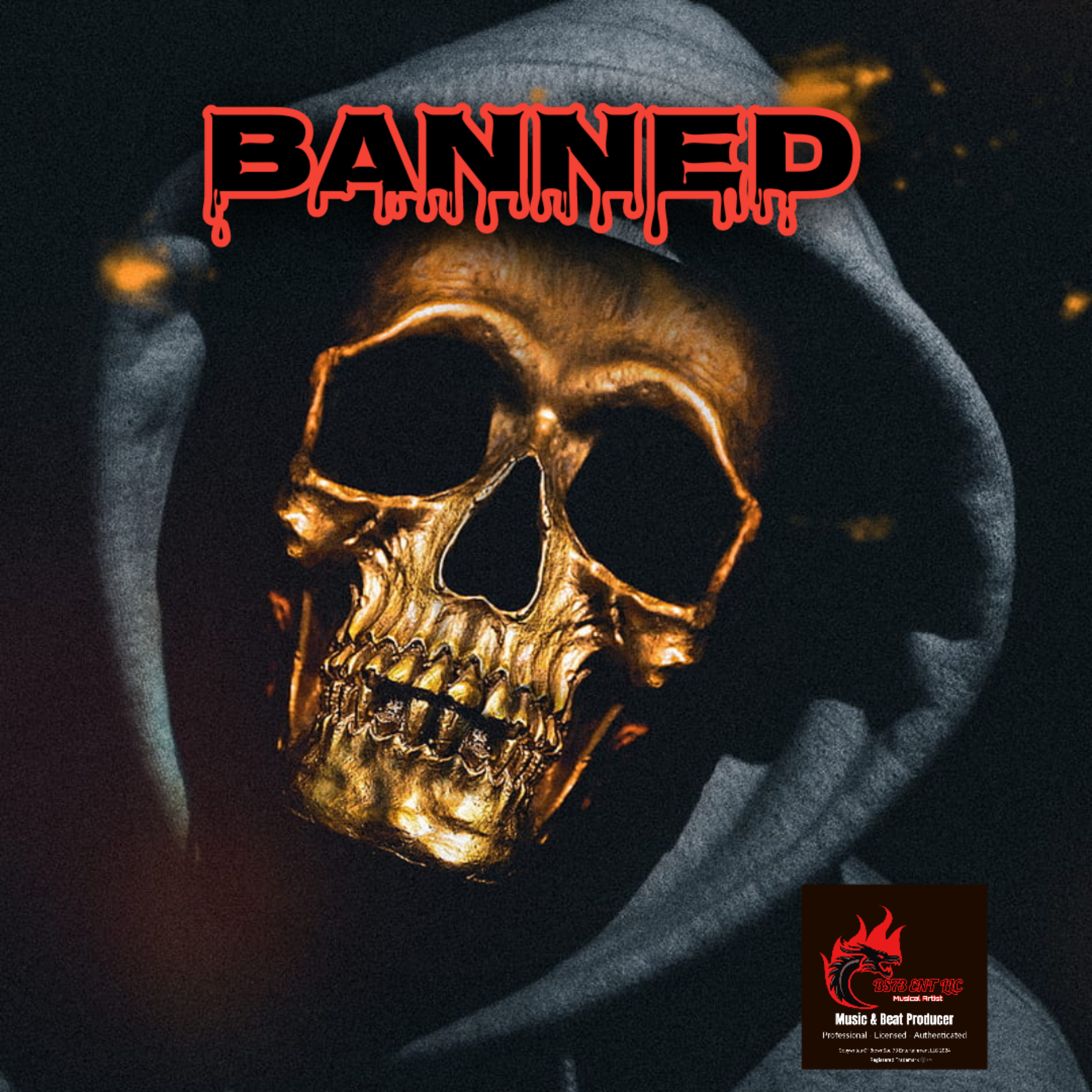 BANNED artwork