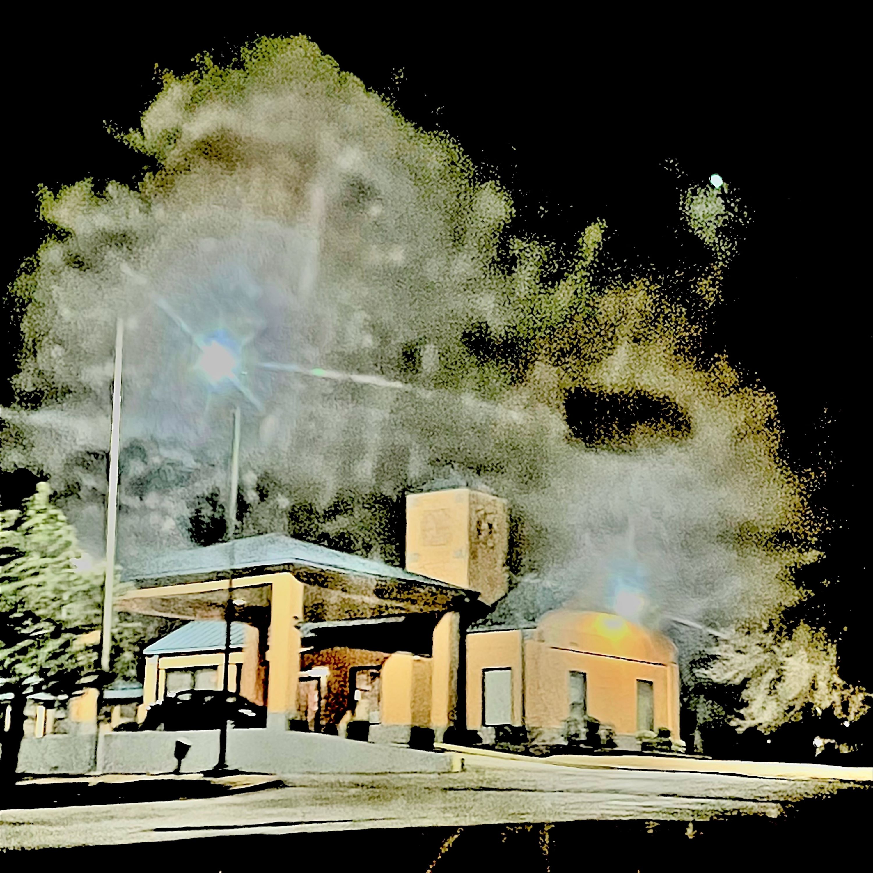 Winter Garden's Wilted Flowers artwork