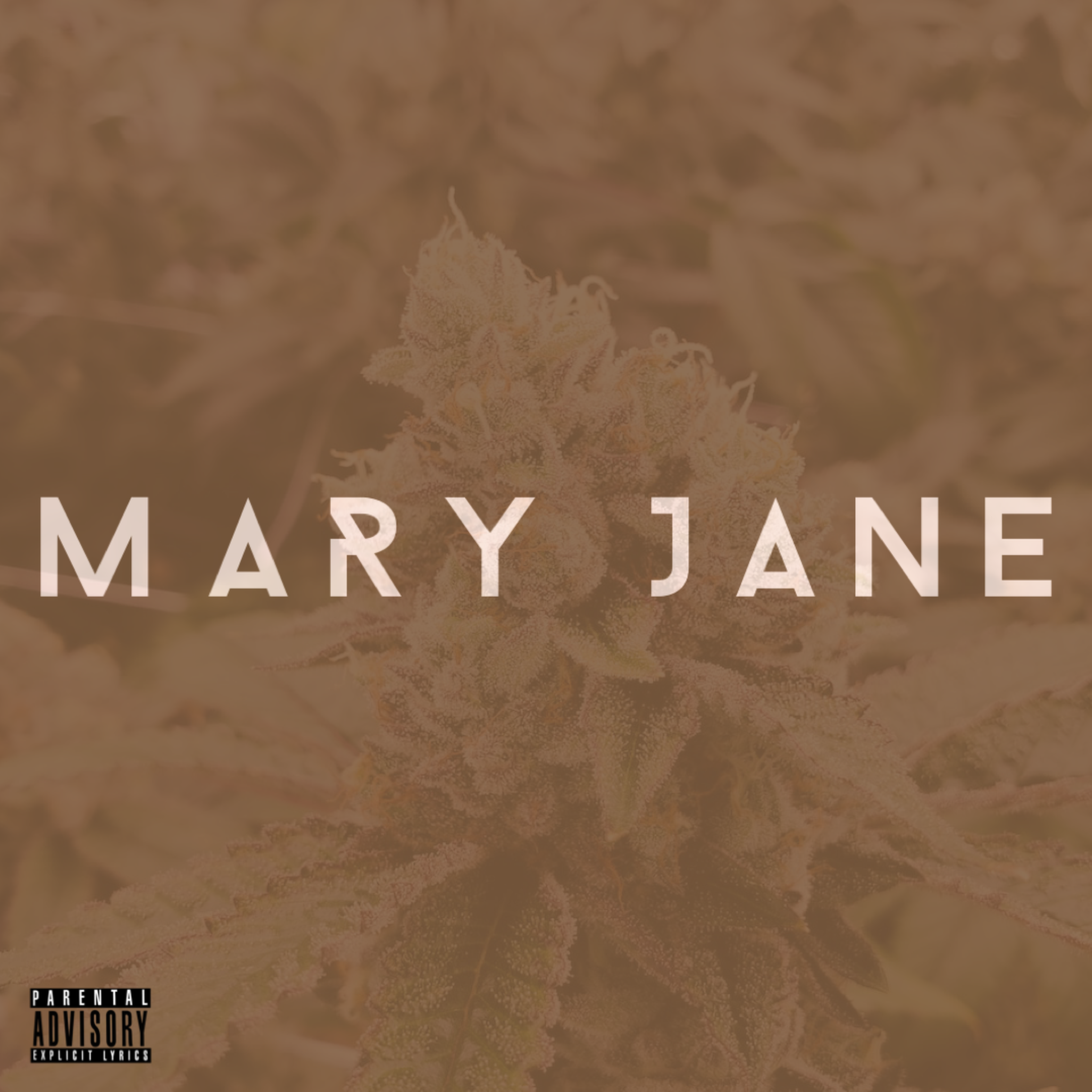 Mary Jane artwork