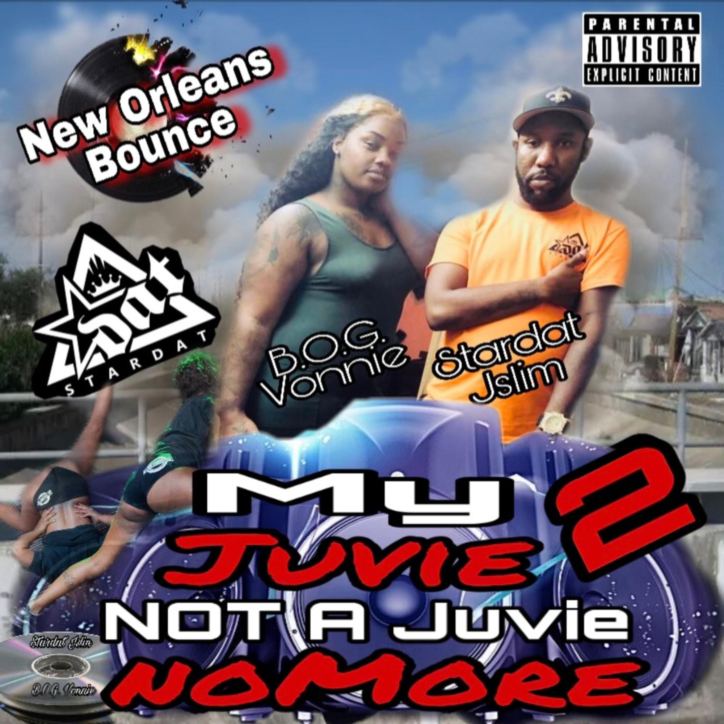 My Juvie Not A Juvie No More 2 artwork