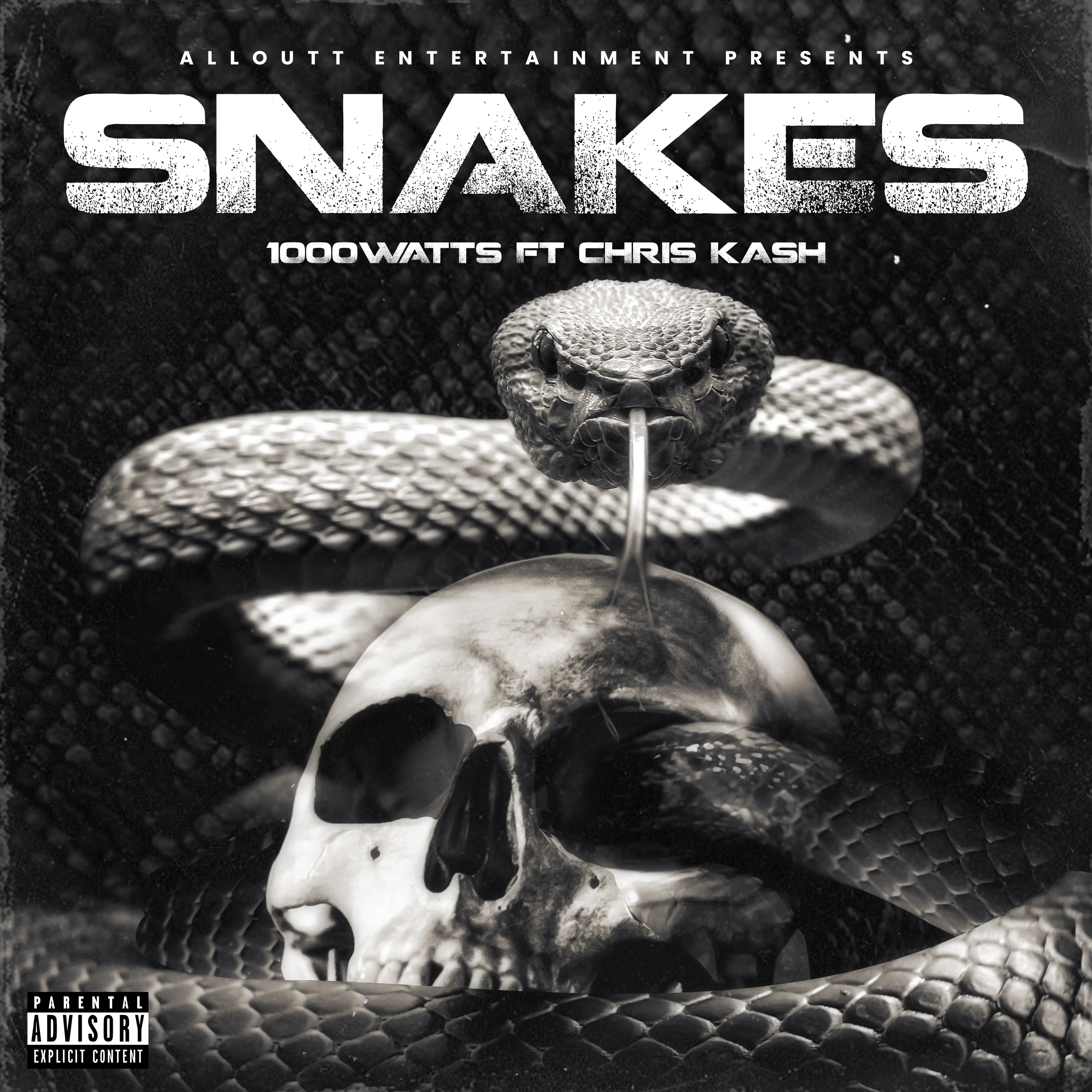 Snakes artwork