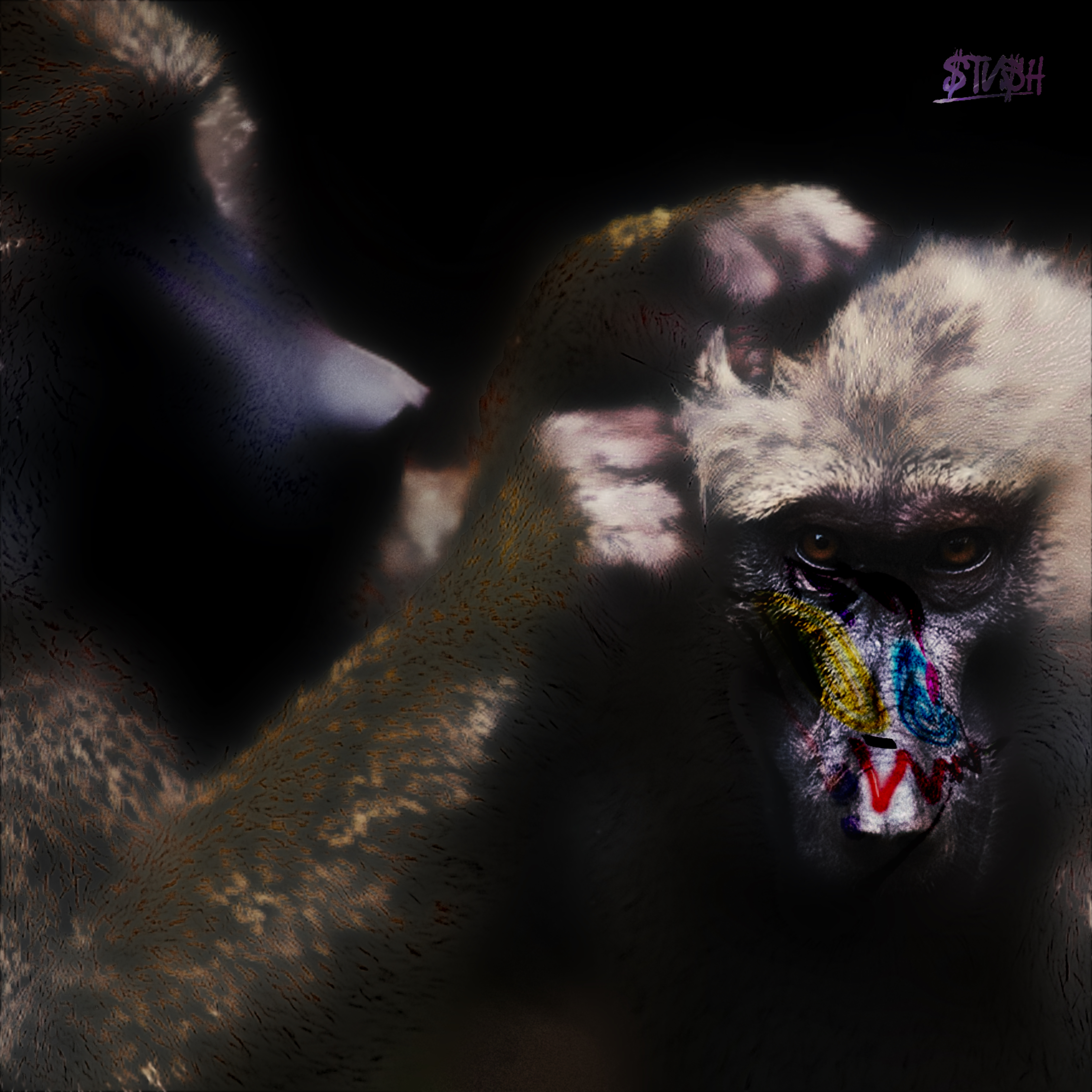 PYB artwork