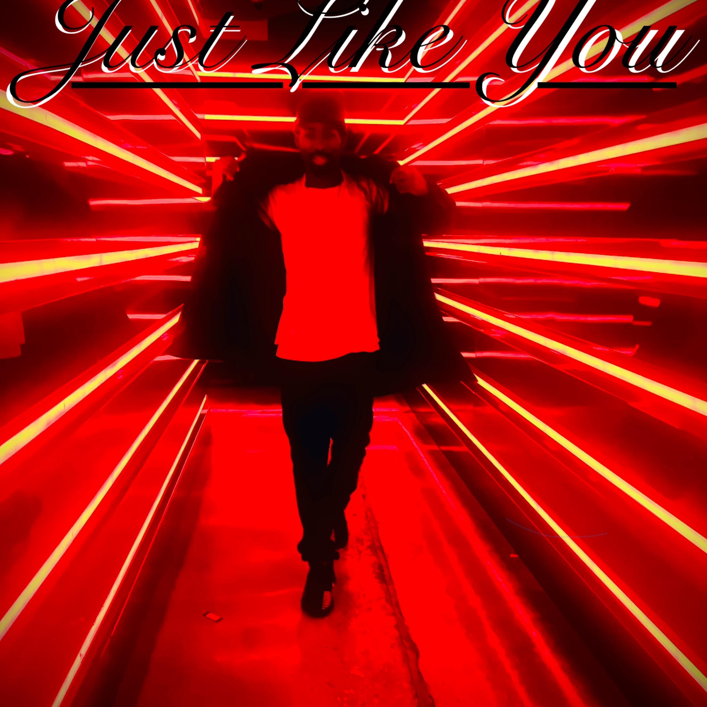 Just Like You artwork