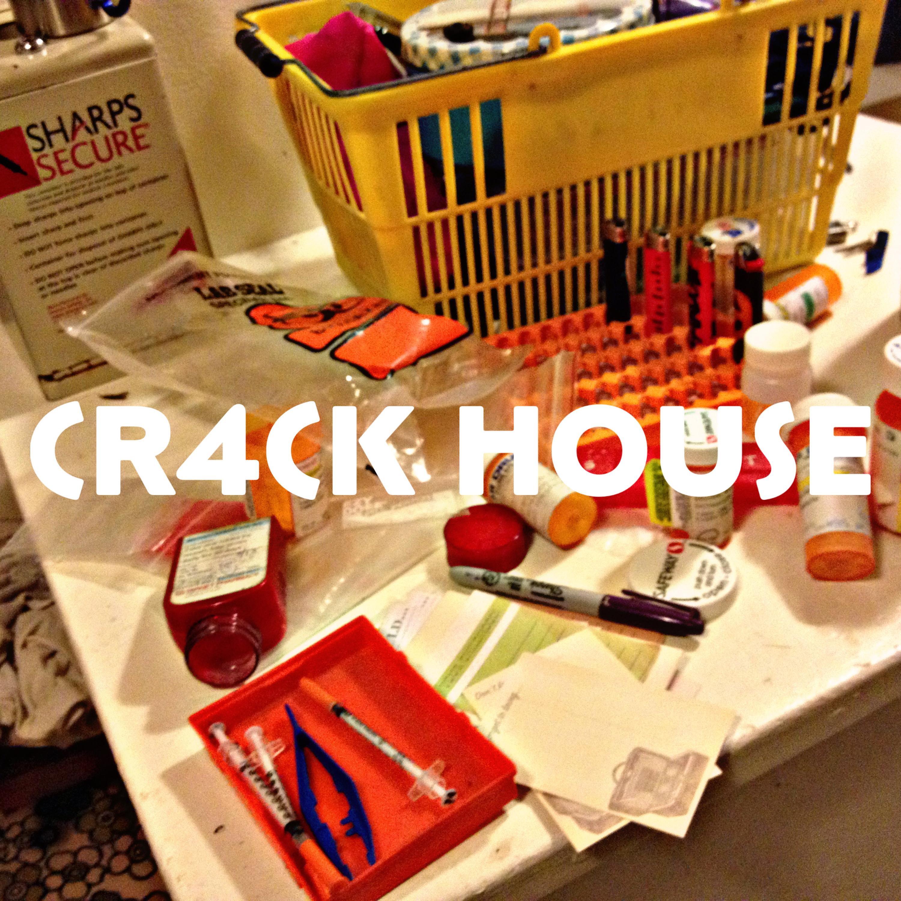 CR4CK HOUSE artwork