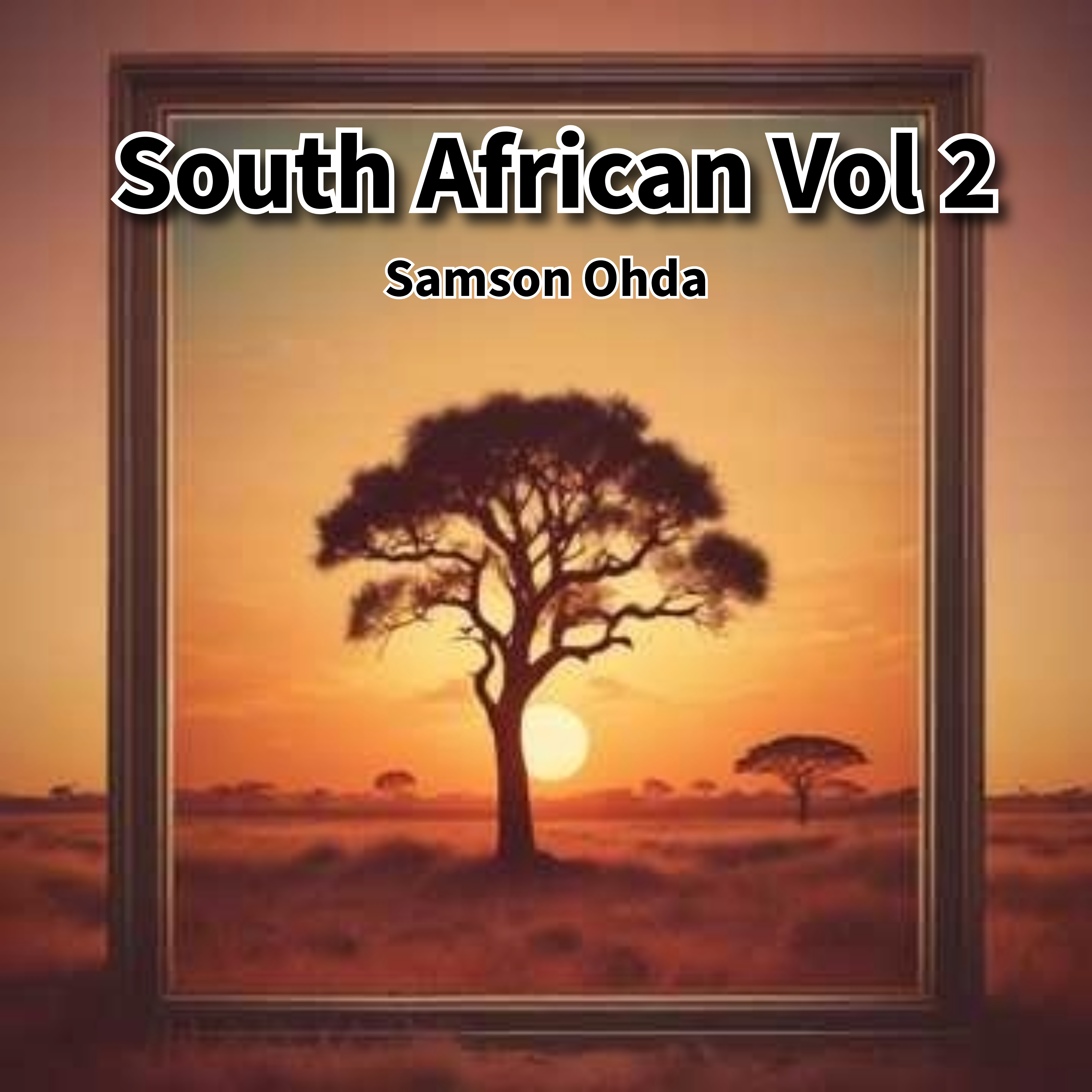 South African Vol 2  artwork