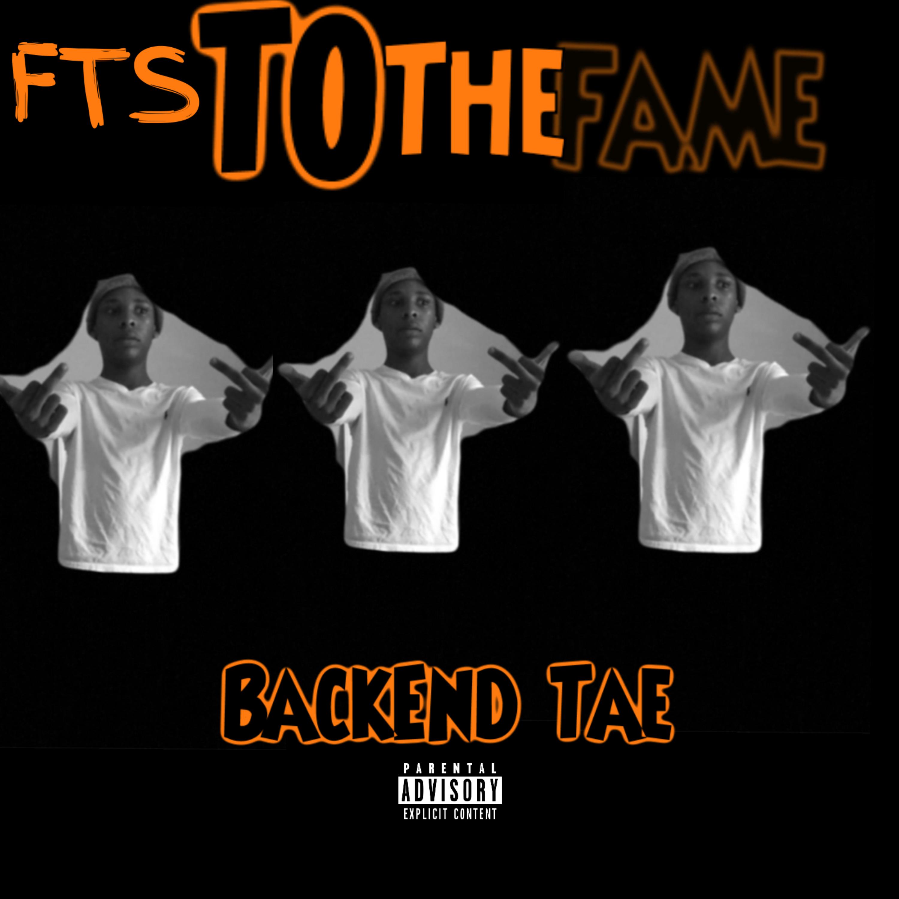 From The Struggle To The Fame artwork