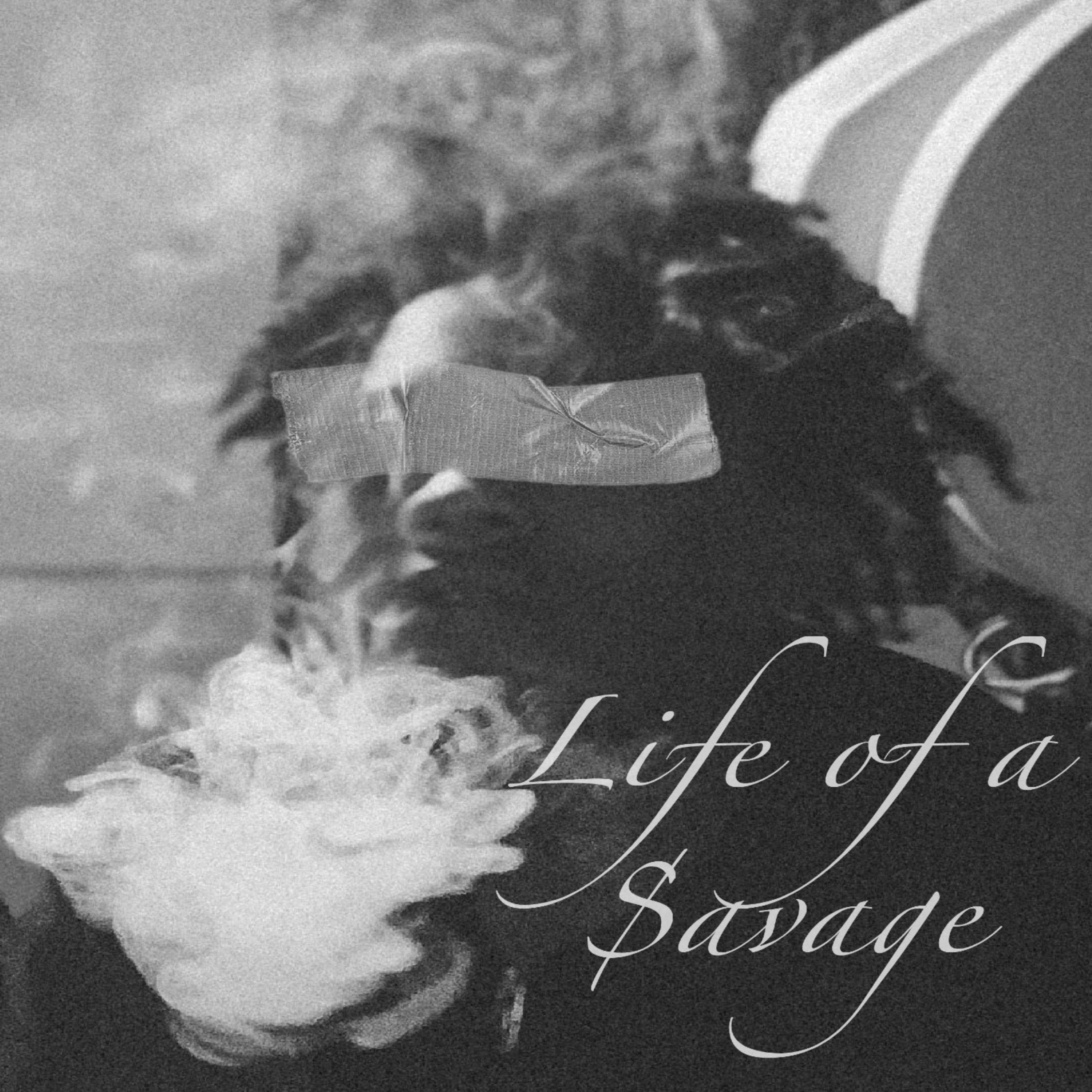 Life of a Savage artwork
