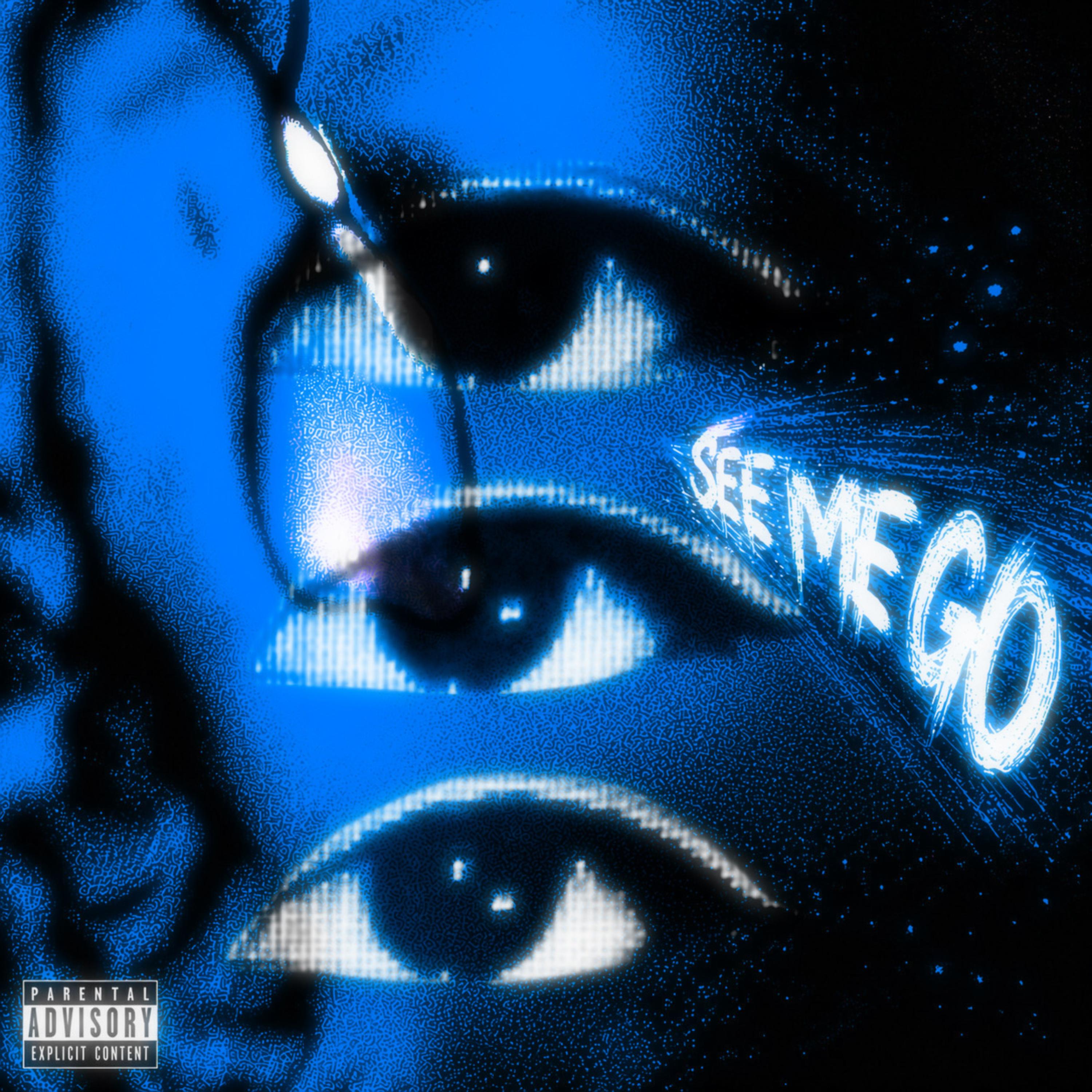 See Me Go by PredoSpit cover art