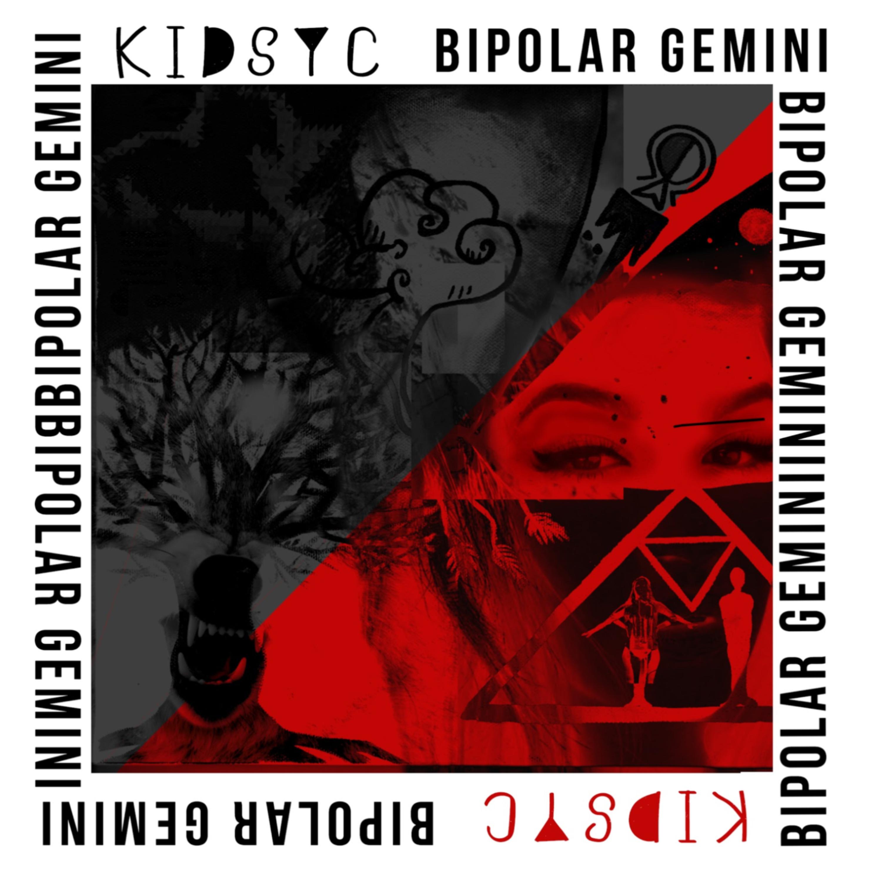 Bipolar Gemini artwork