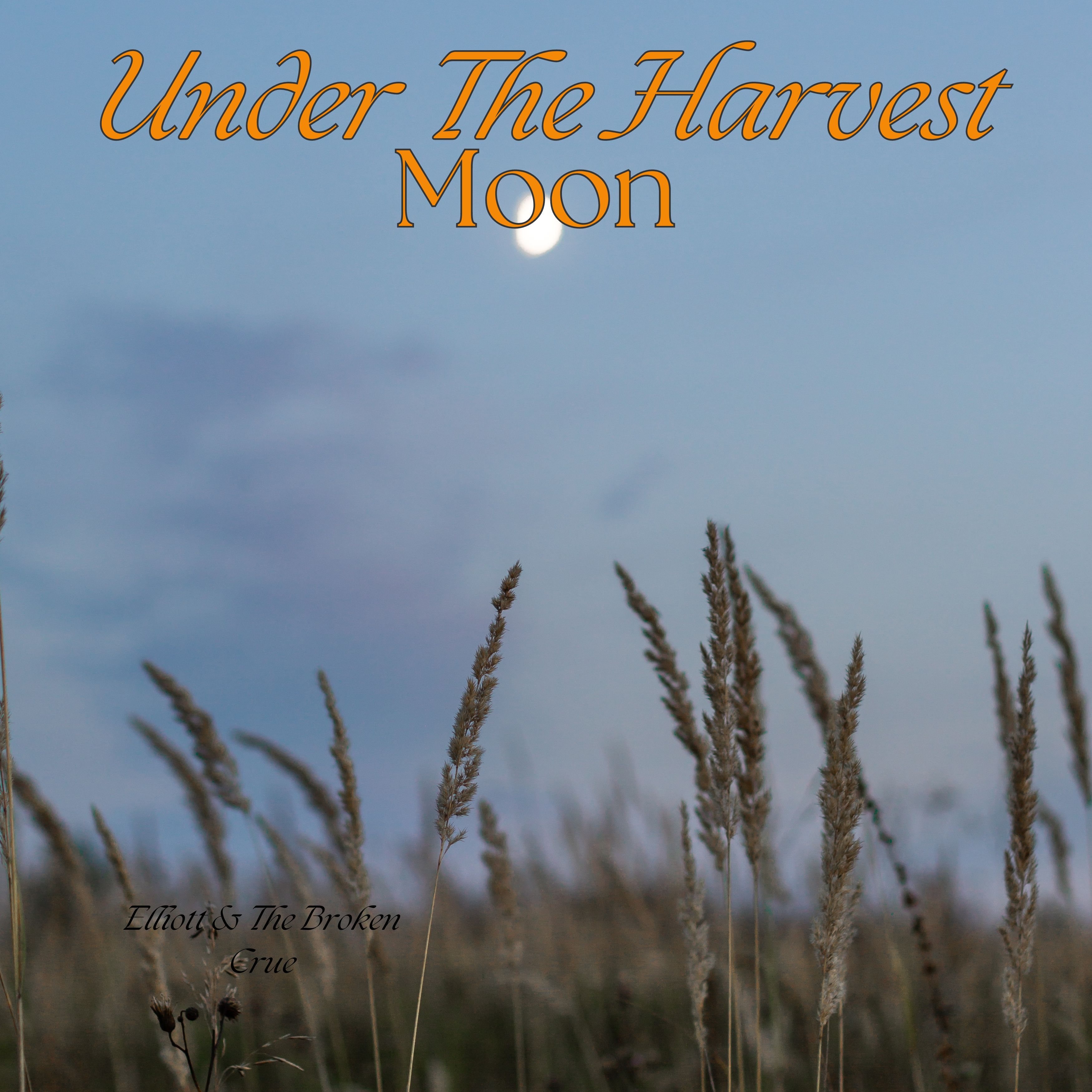 Under The Harvest Moon artwork