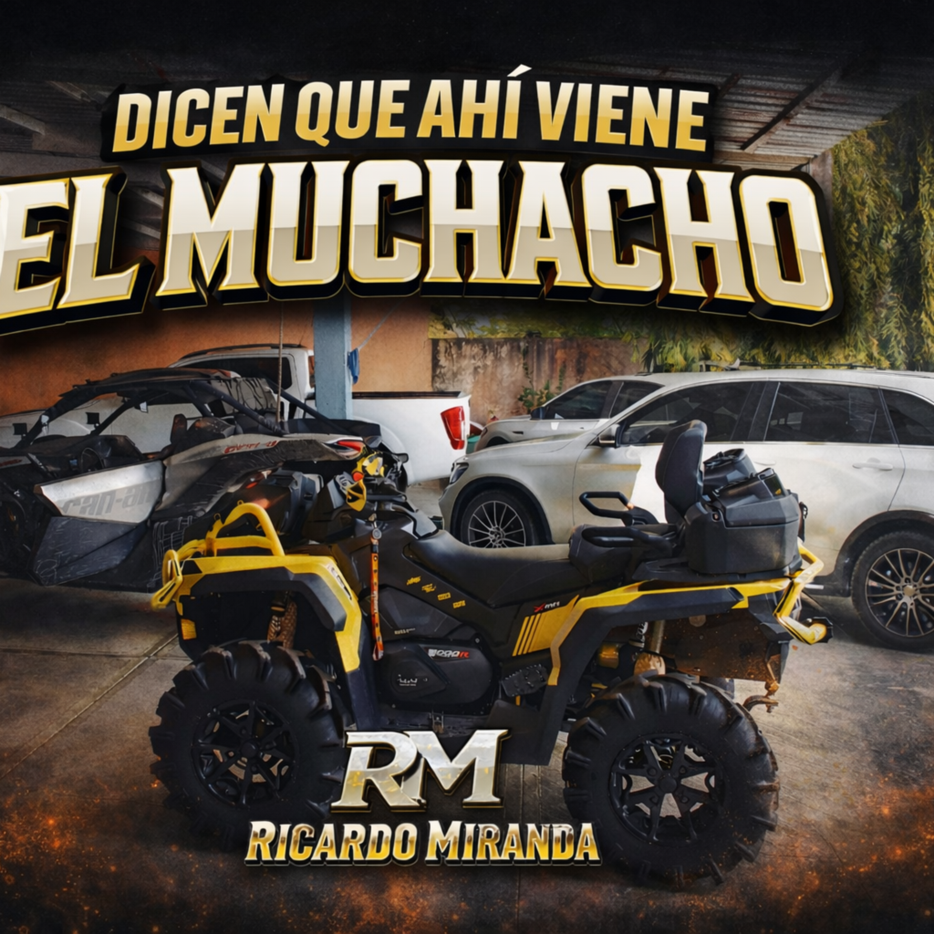 DICEN QUE AHÍ VIENE EL MUCHACHO artwork