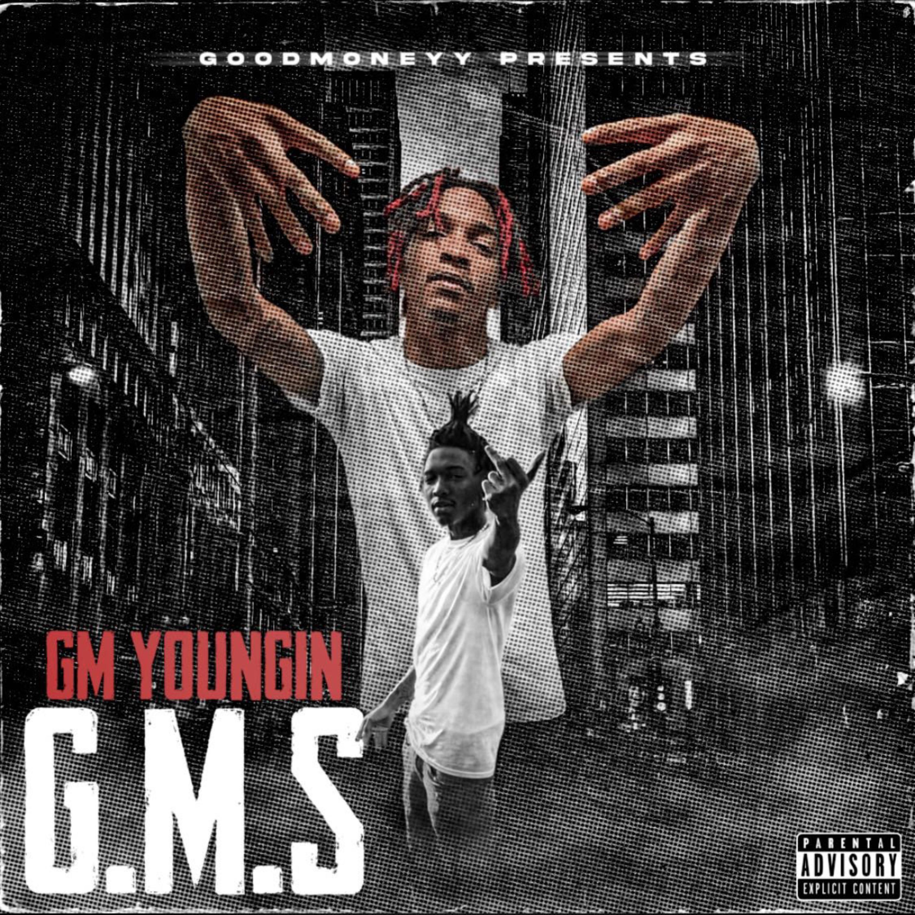 G.M.S artwork