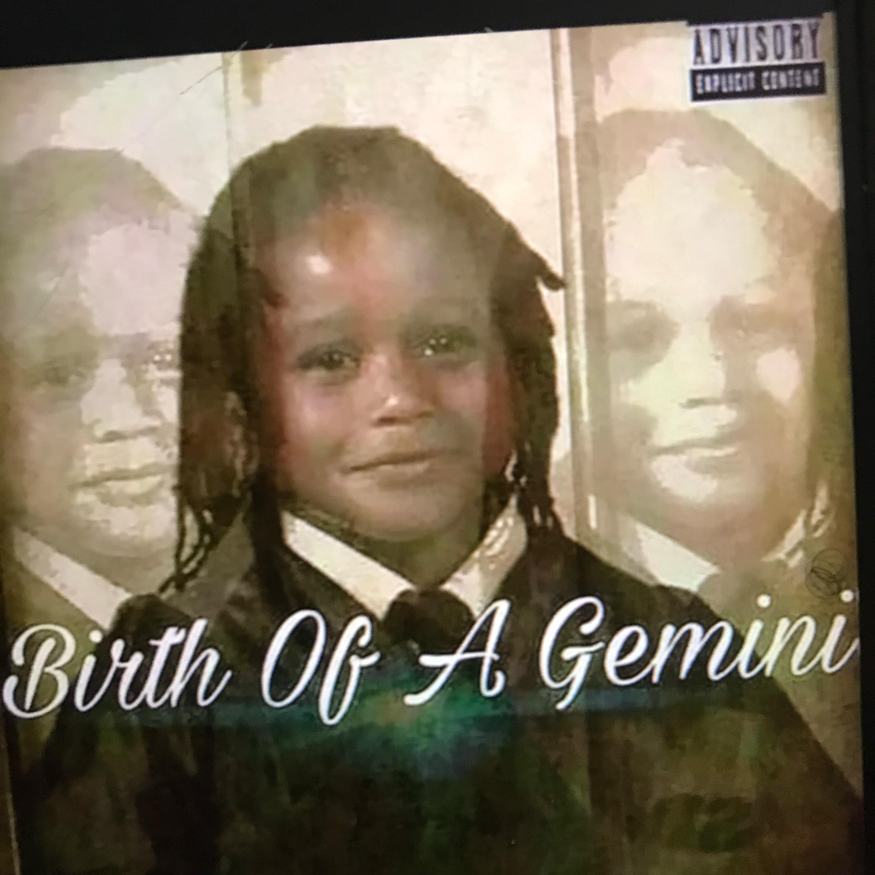 BIRTH OF A GEMINI artwork