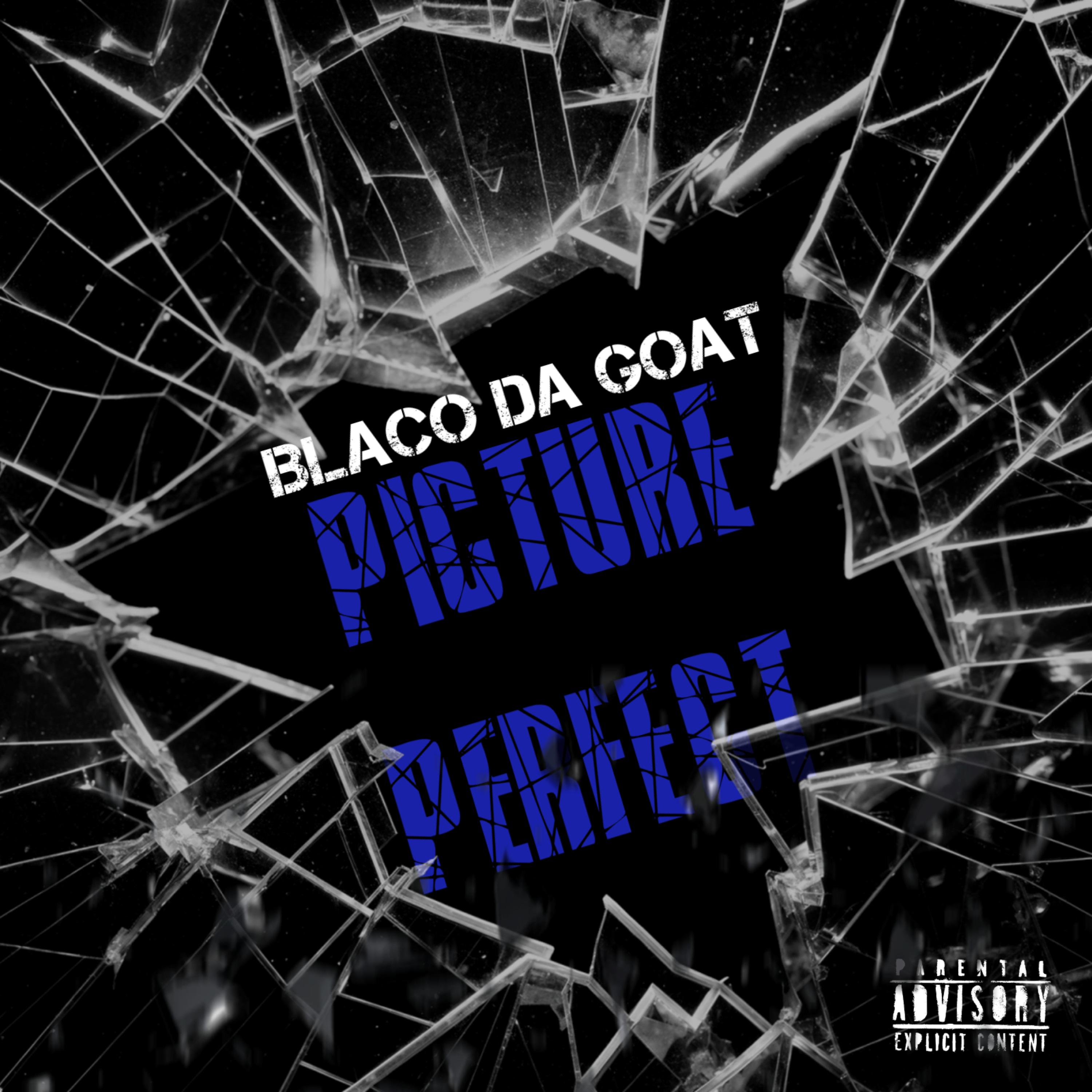 Picture Perfect artwork