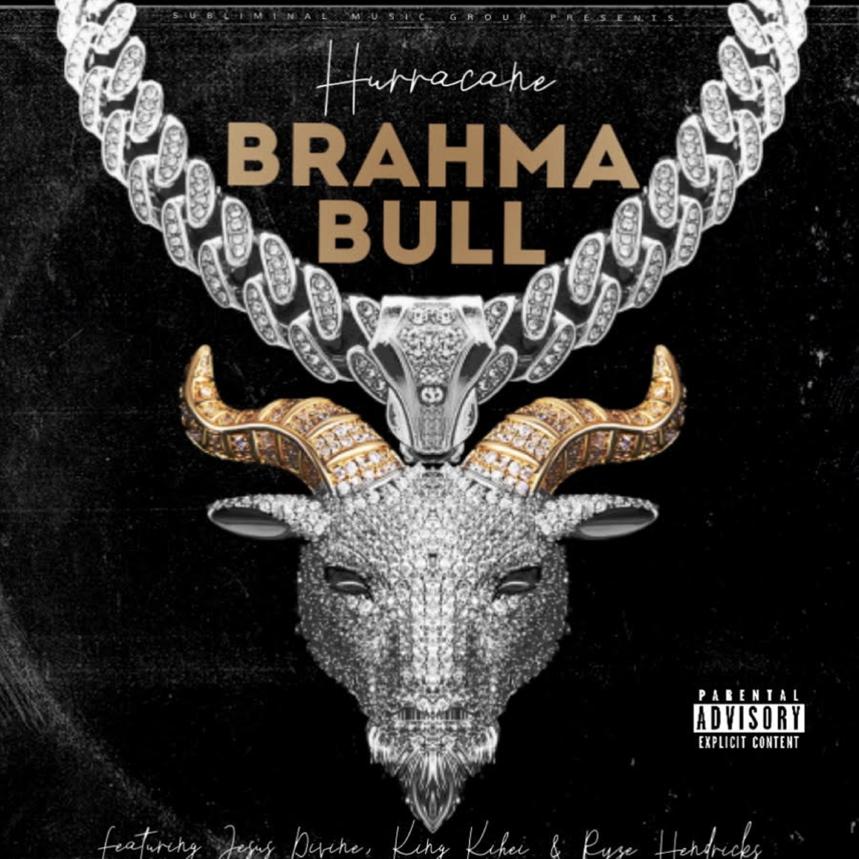Brahma Bull artwork