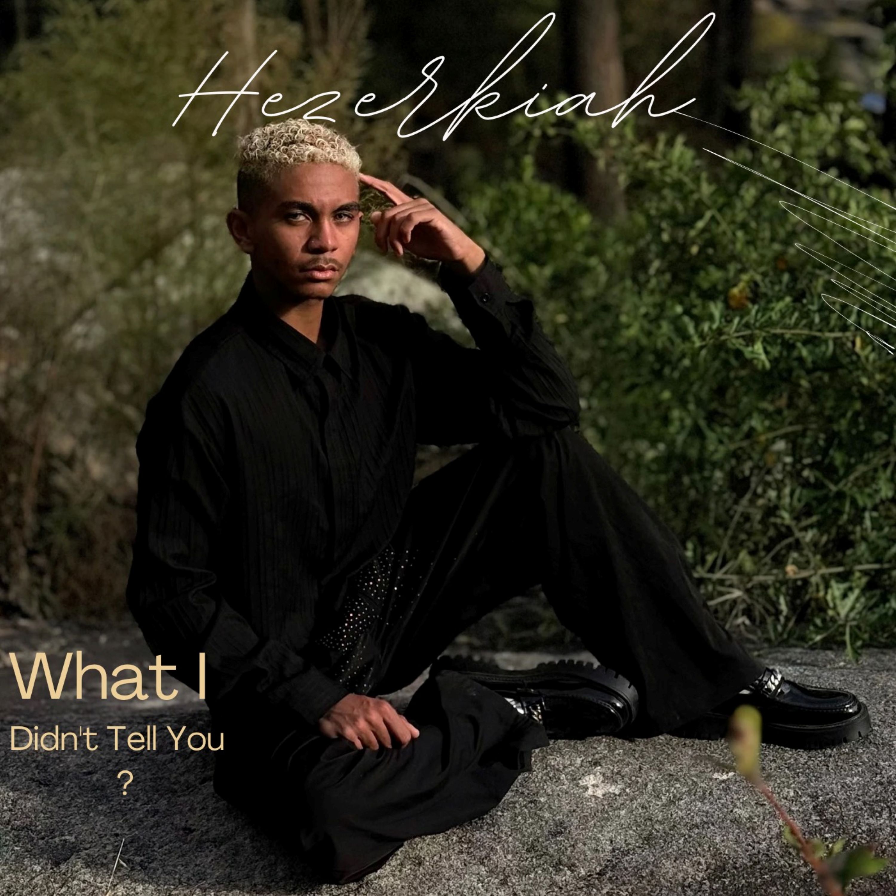 What I Didn't Tell You? artwork