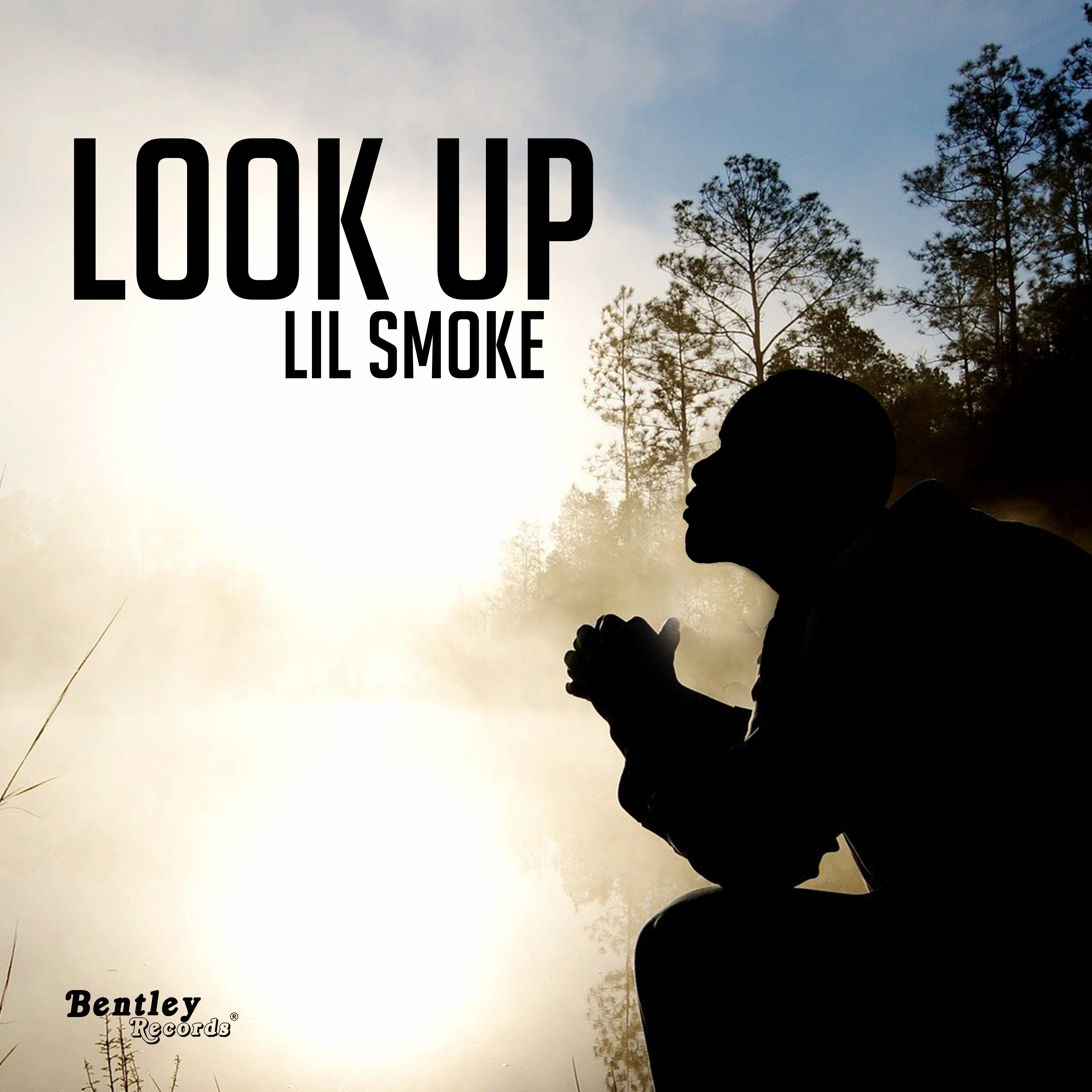 Look Up artwork