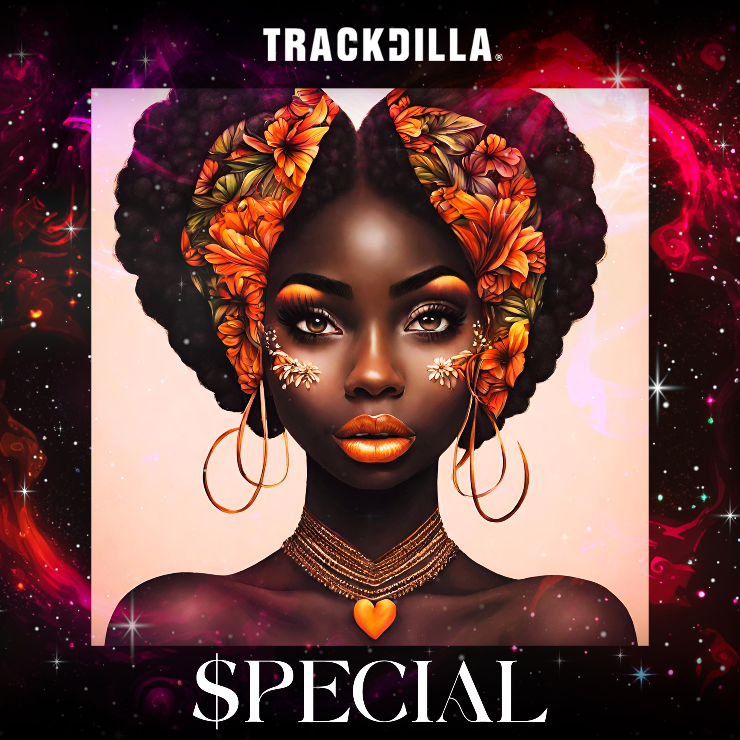 Special by TRACKDILLA cover art